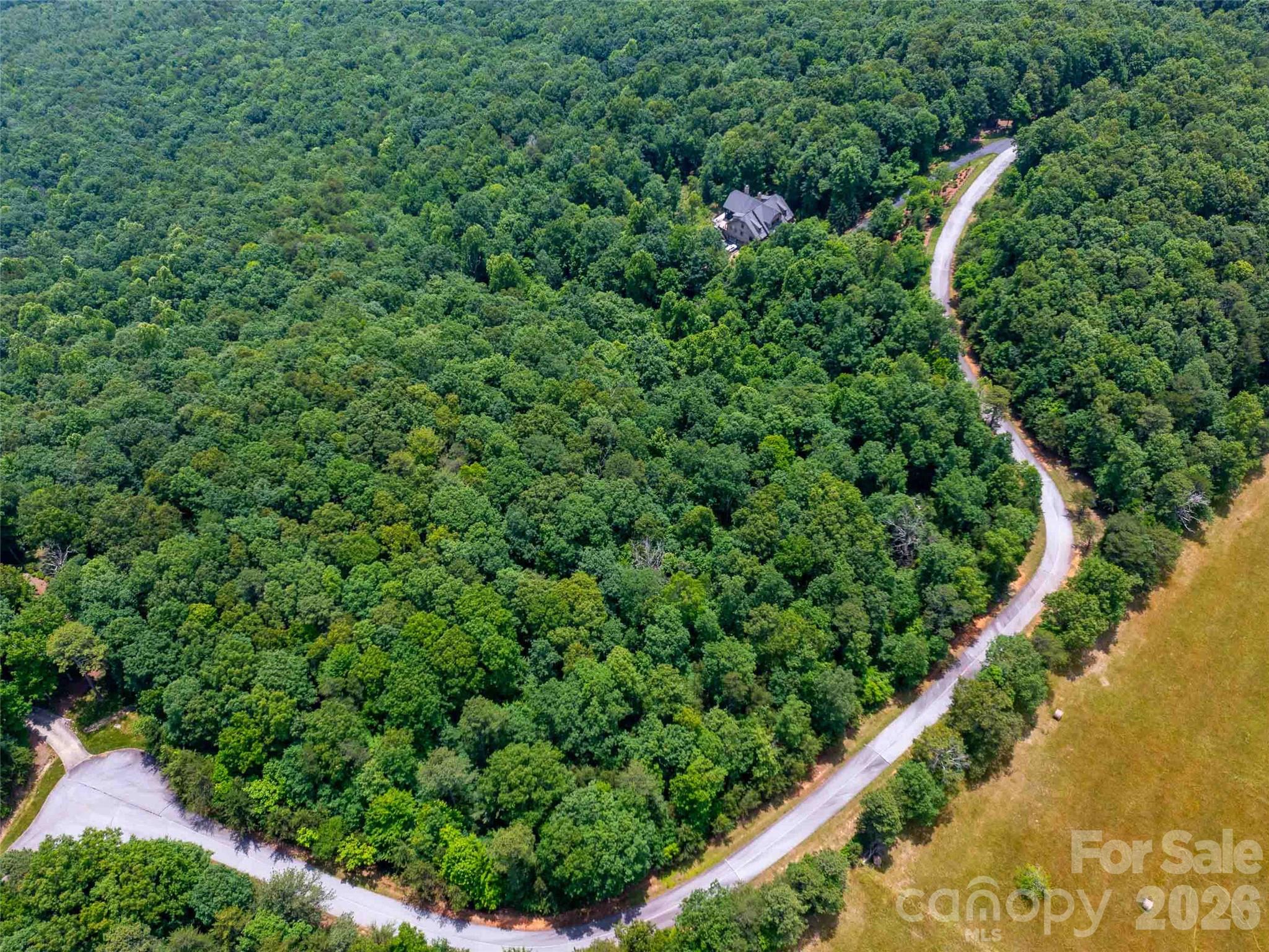 Lot at 288 Eastman Place, Mill Spring, photo 12 of 15