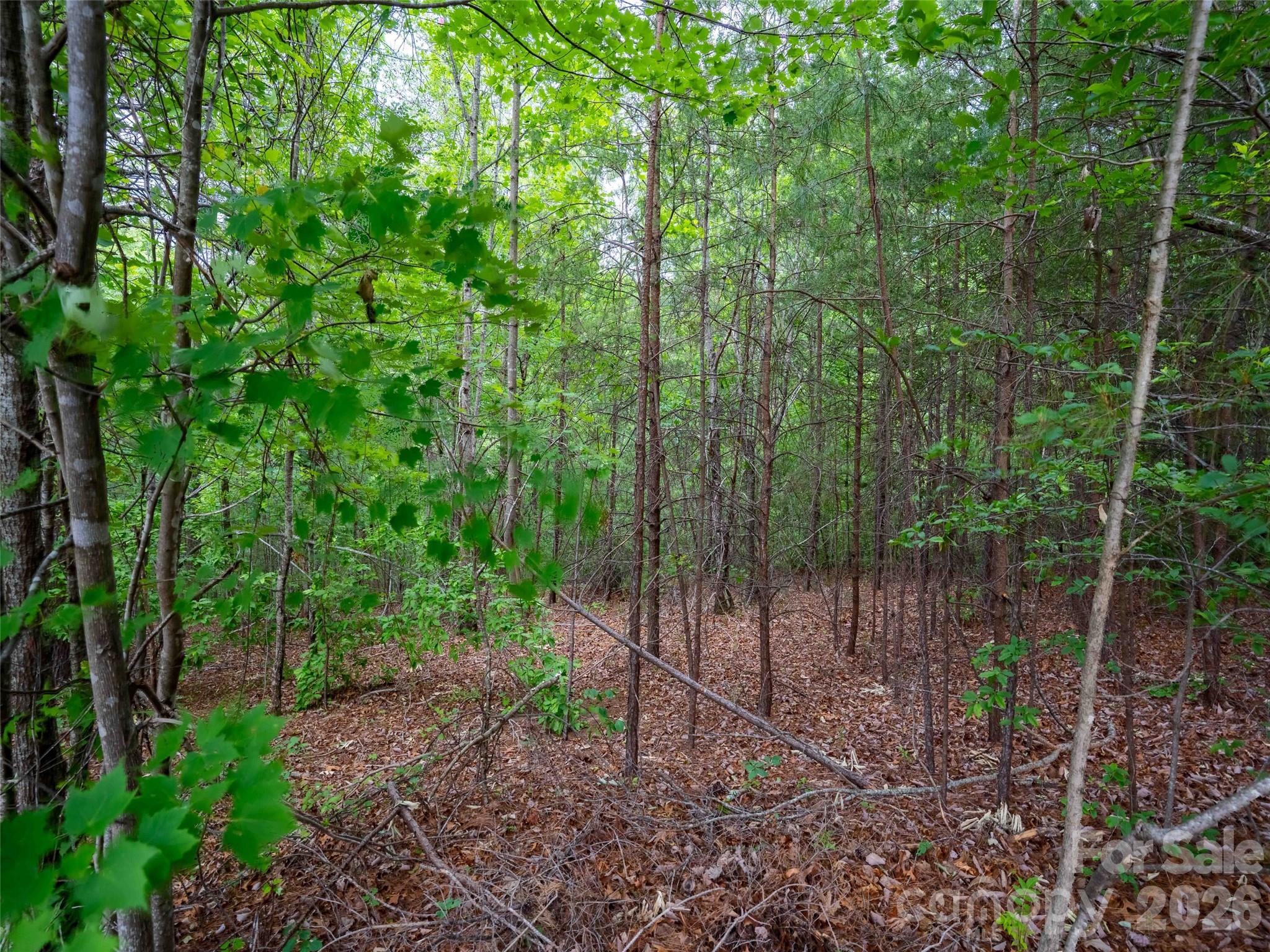 Lot at LOT 2009 Deep Gap Farm Road W, Mill Spring, photo 2 of 17