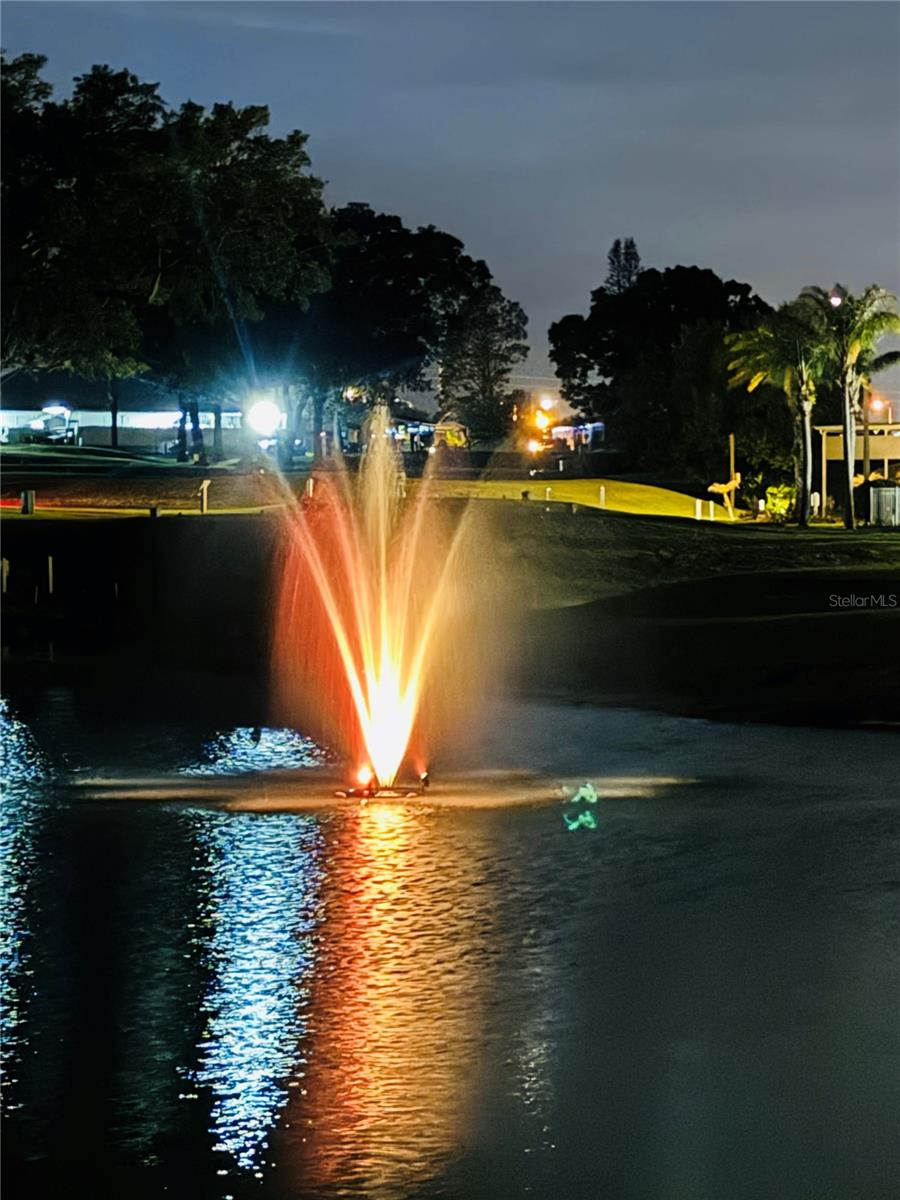 Water Feature on Pond - 2336 ST GEORGE DR, DAVENPORT