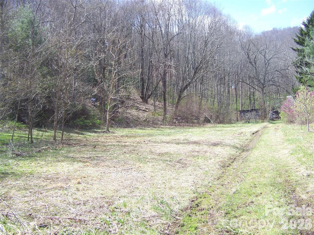 Acreage at 58 Collier Lane, Waynesville, photo 3 of 7