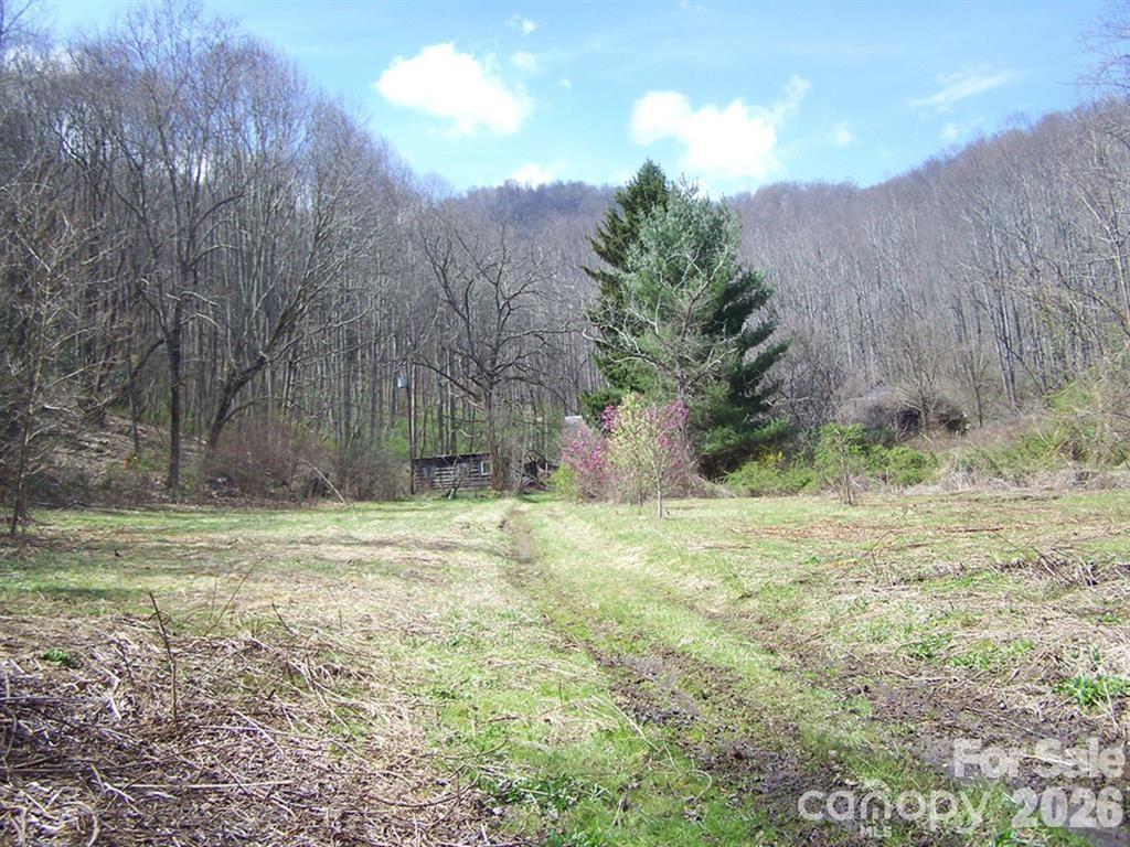 Acreage at 58 Collier Lane, Waynesville, photo 4 of 7