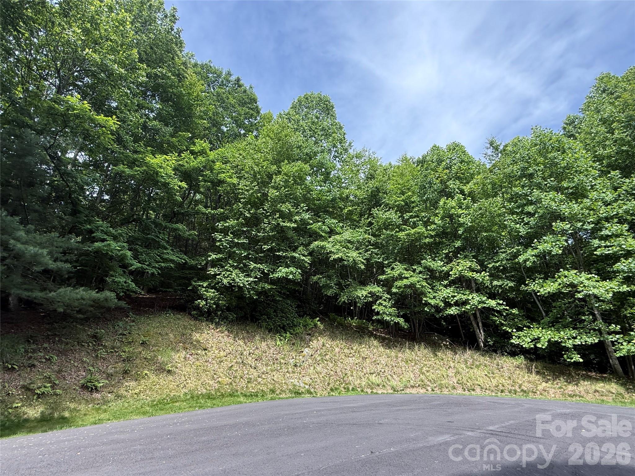 Lot at 0000 Hardwood Summit Drive, Hendersonville, photo 7 of 29