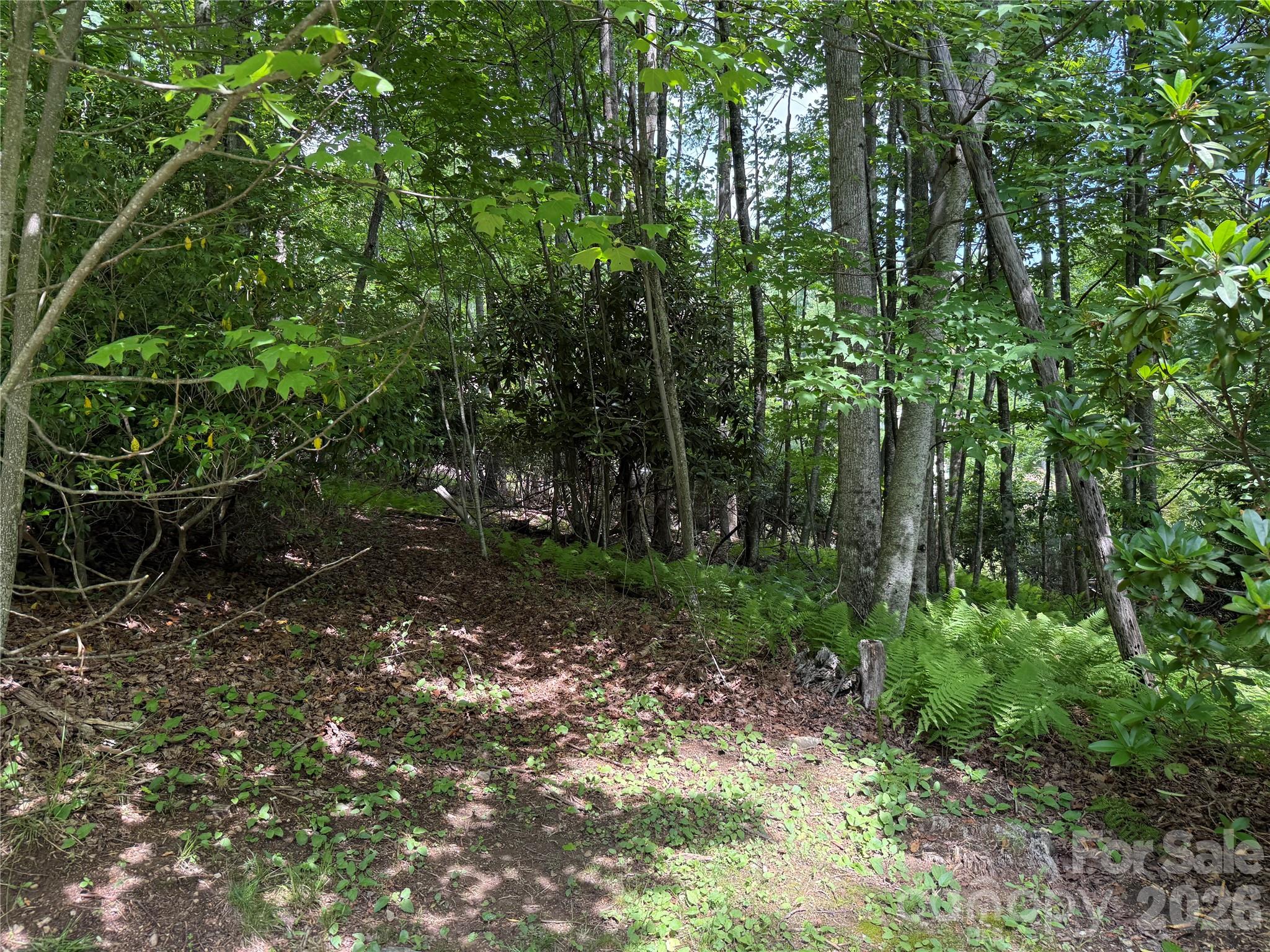 Lot at 0000 Hardwood Summit Drive, Hendersonville, photo 8 of 29