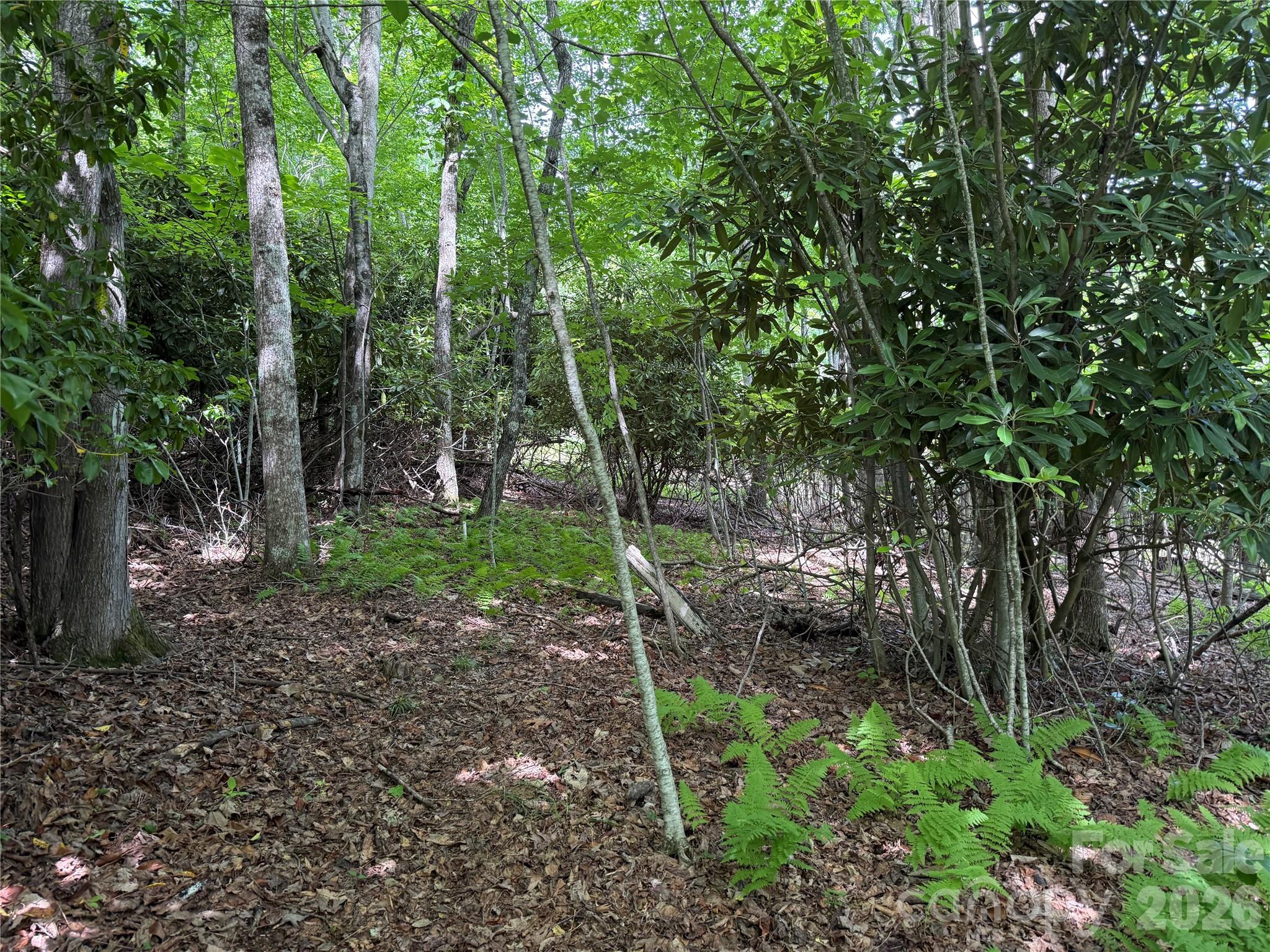 Lot at 0000 Hardwood Summit Drive, Hendersonville, photo 9 of 29