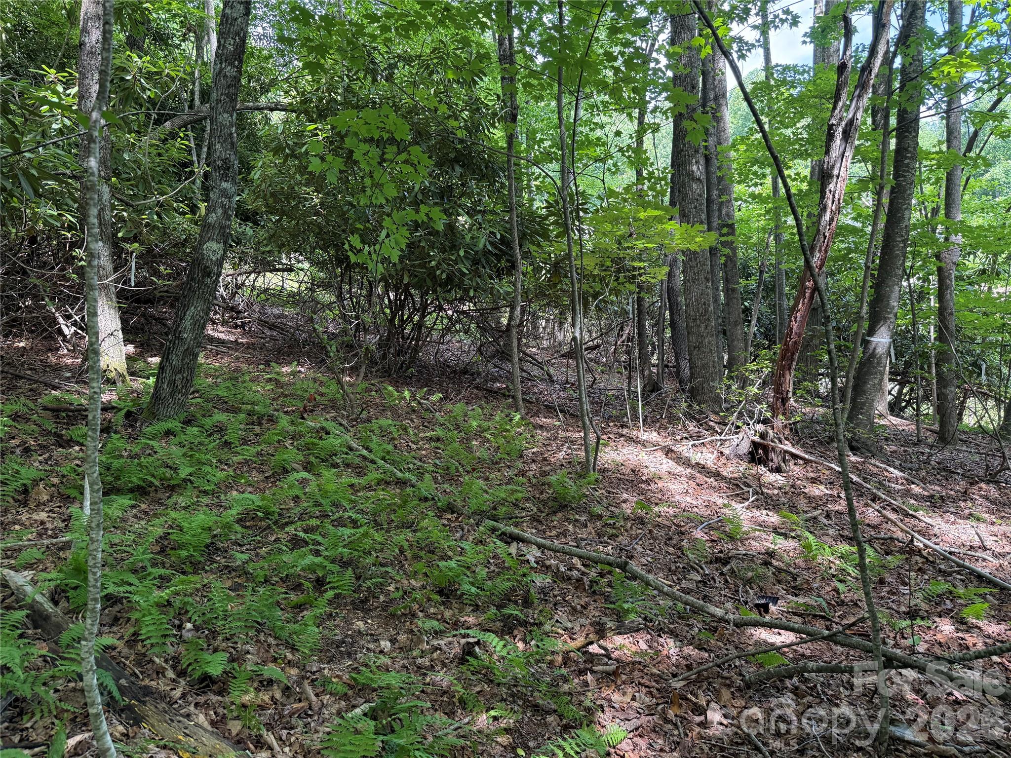 Lot at 0000 Hardwood Summit Drive, Hendersonville, photo 10 of 29
