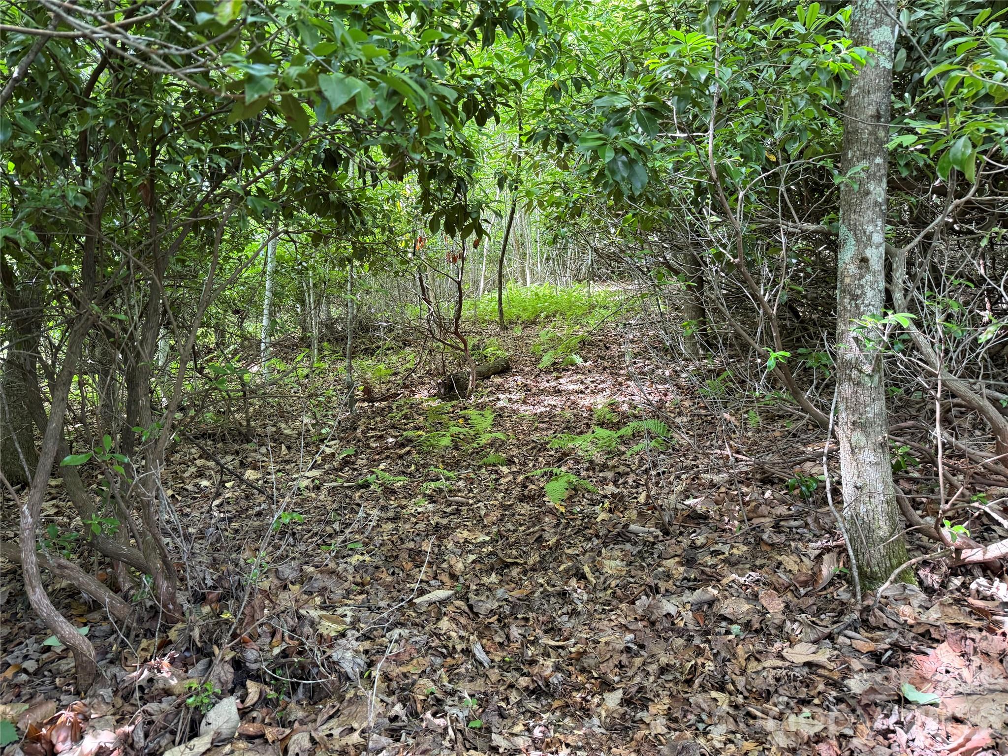 Lot at 0000 Hardwood Summit Drive, Hendersonville, photo 11 of 29