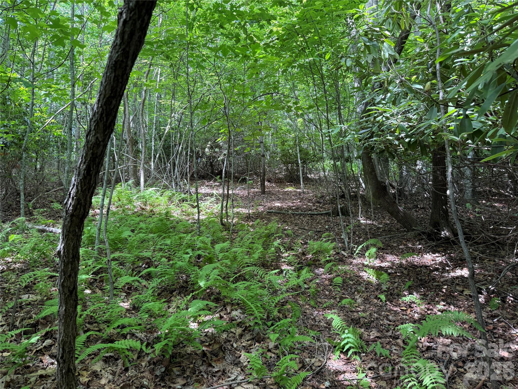 Lot at 0000 Hardwood Summit Drive, Hendersonville, photo 12 of 29