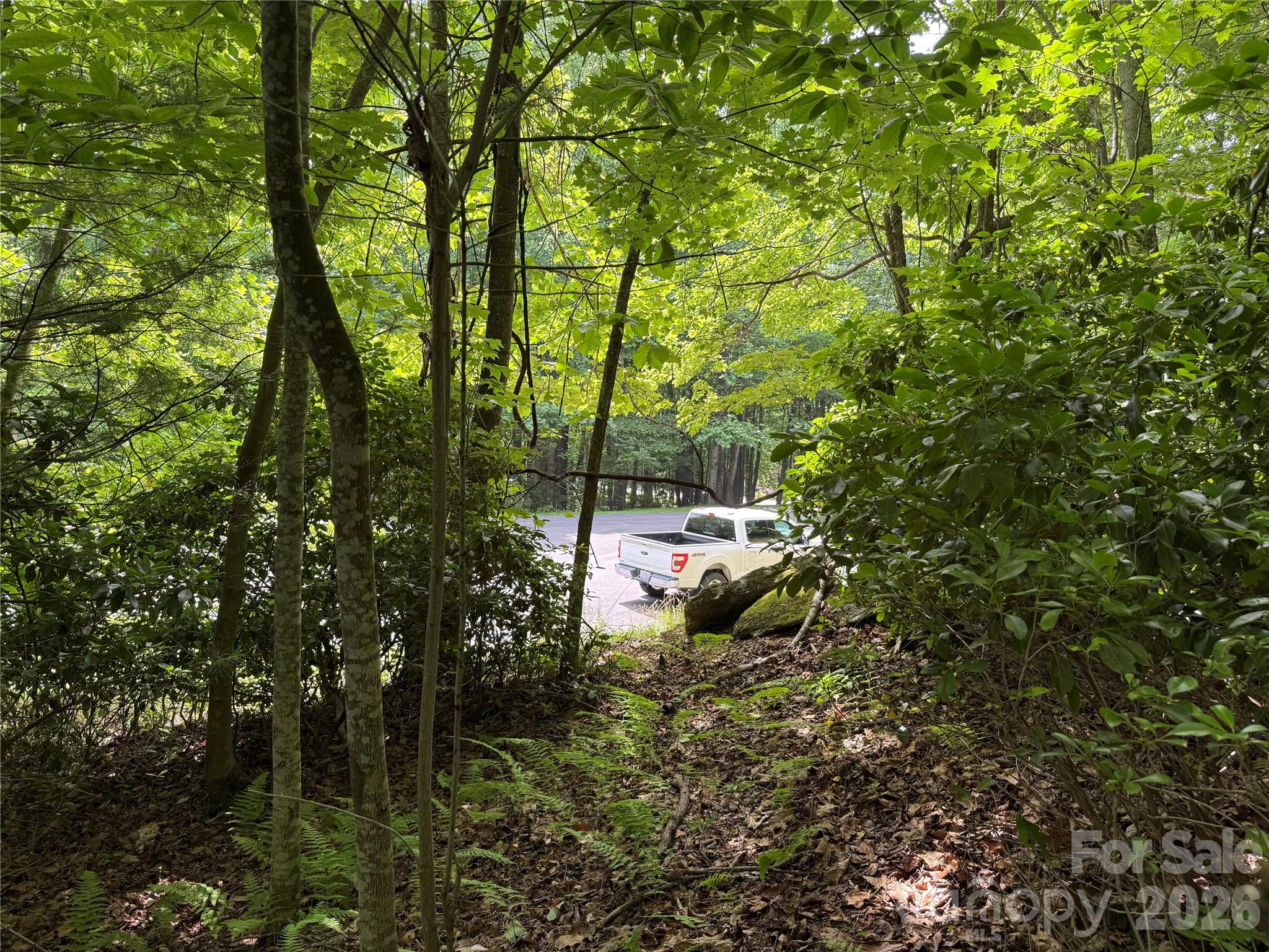 Lot at 0000 Hardwood Summit Drive, Hendersonville, photo 13 of 29