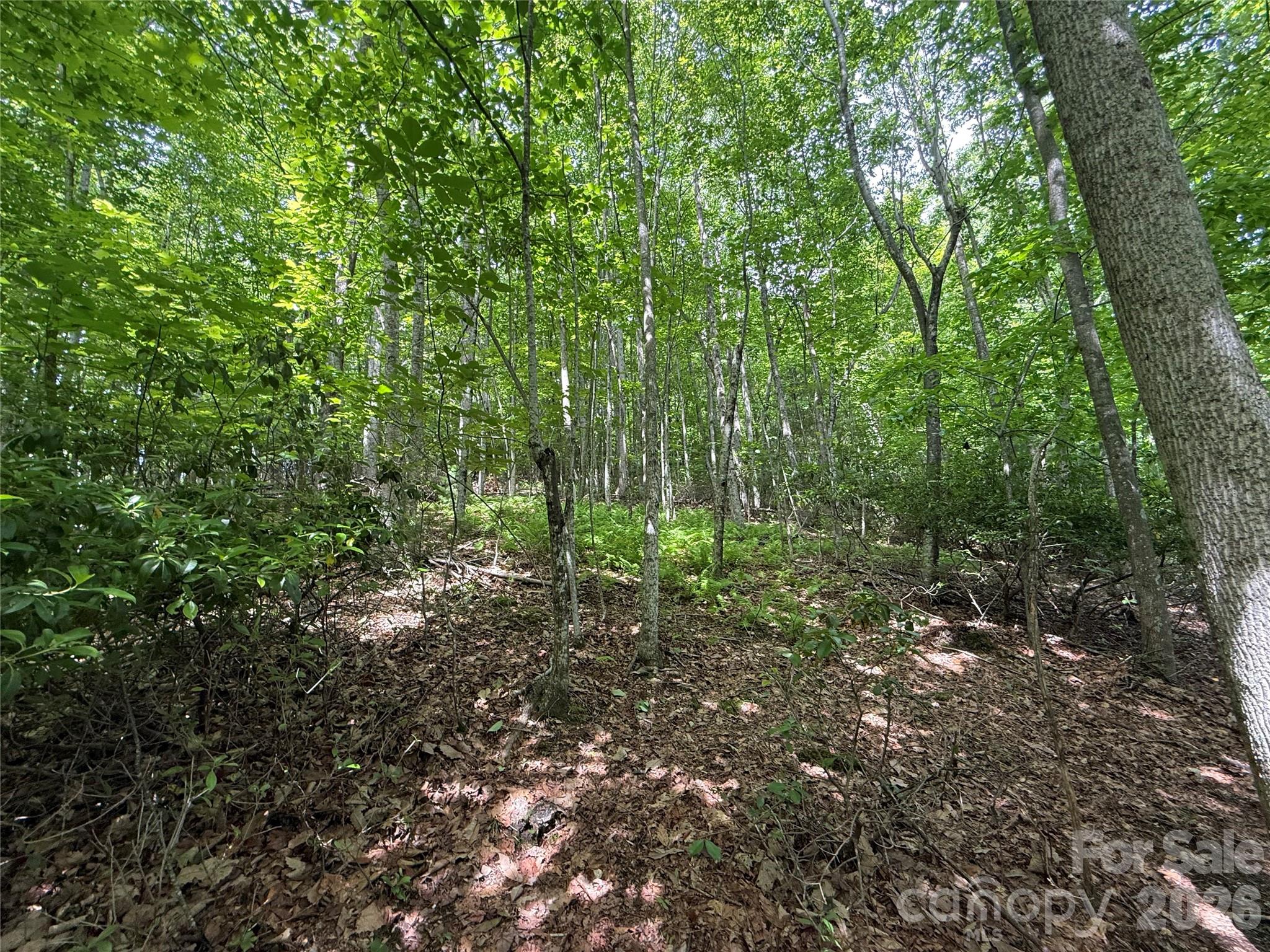 Lot at 0000 Hardwood Summit Drive, Hendersonville, photo 15 of 29