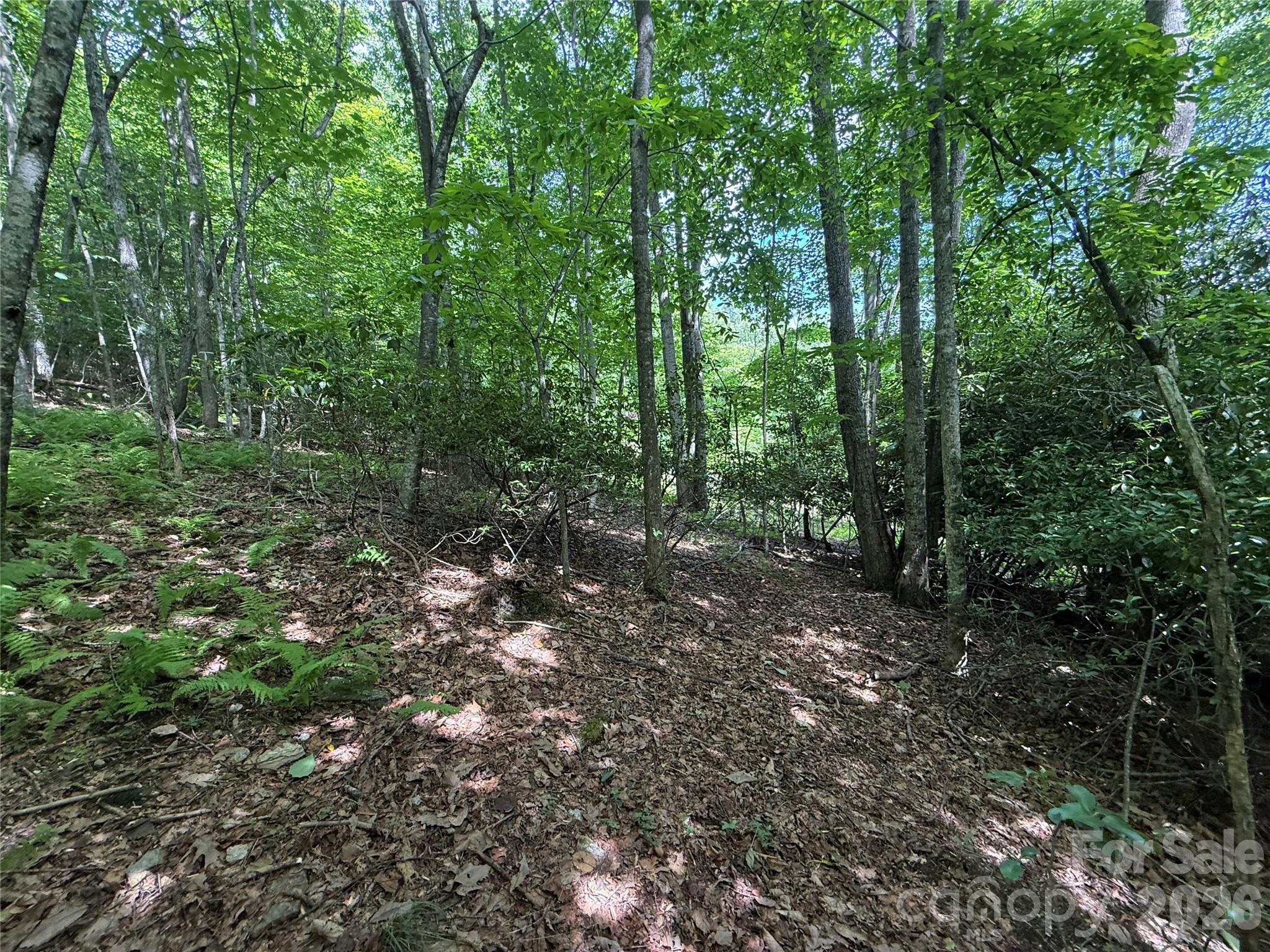 Lot at 0000 Hardwood Summit Drive, Hendersonville, photo 16 of 29