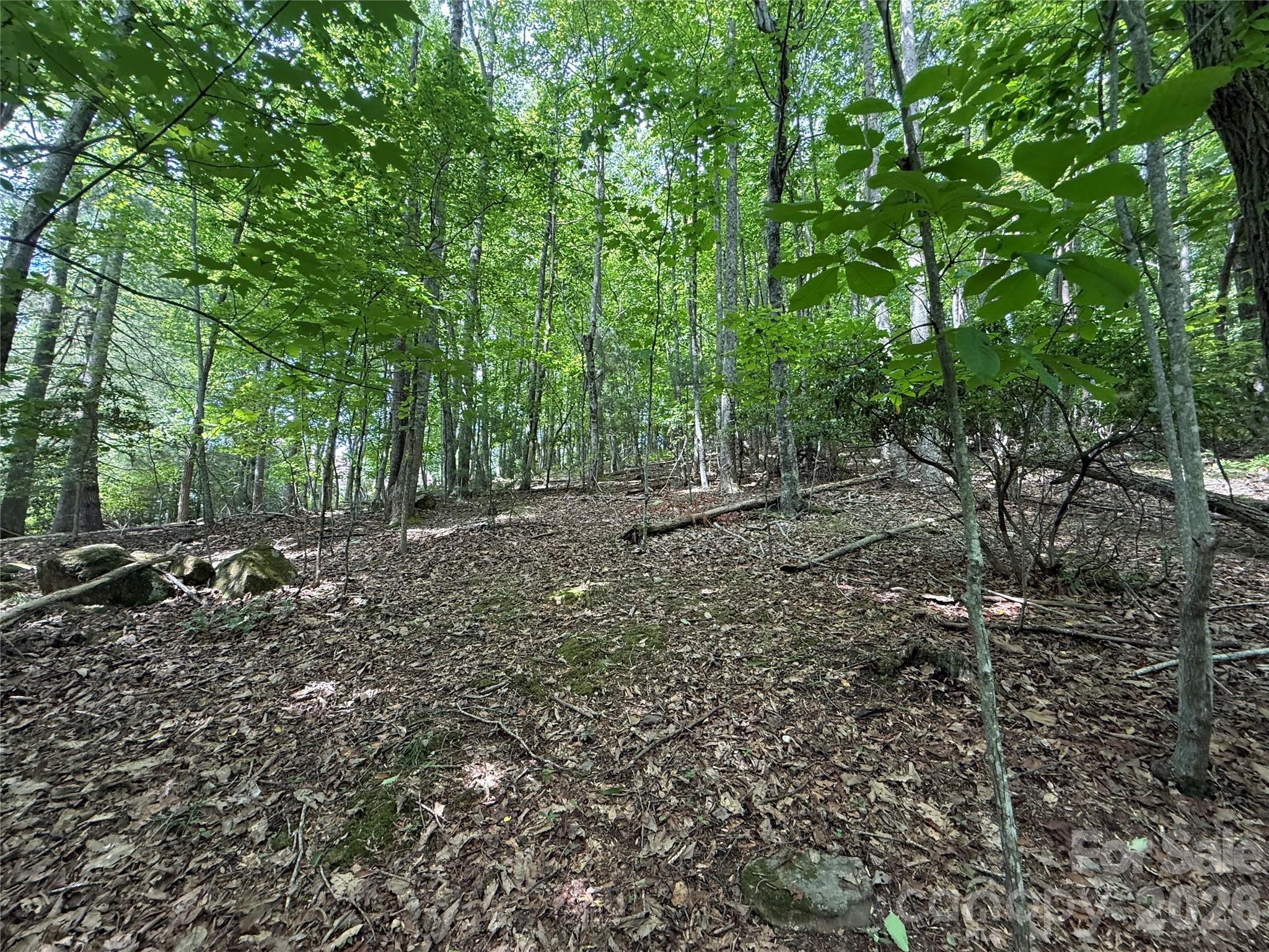 Lot at 0000 Hardwood Summit Drive, Hendersonville, photo 18 of 29