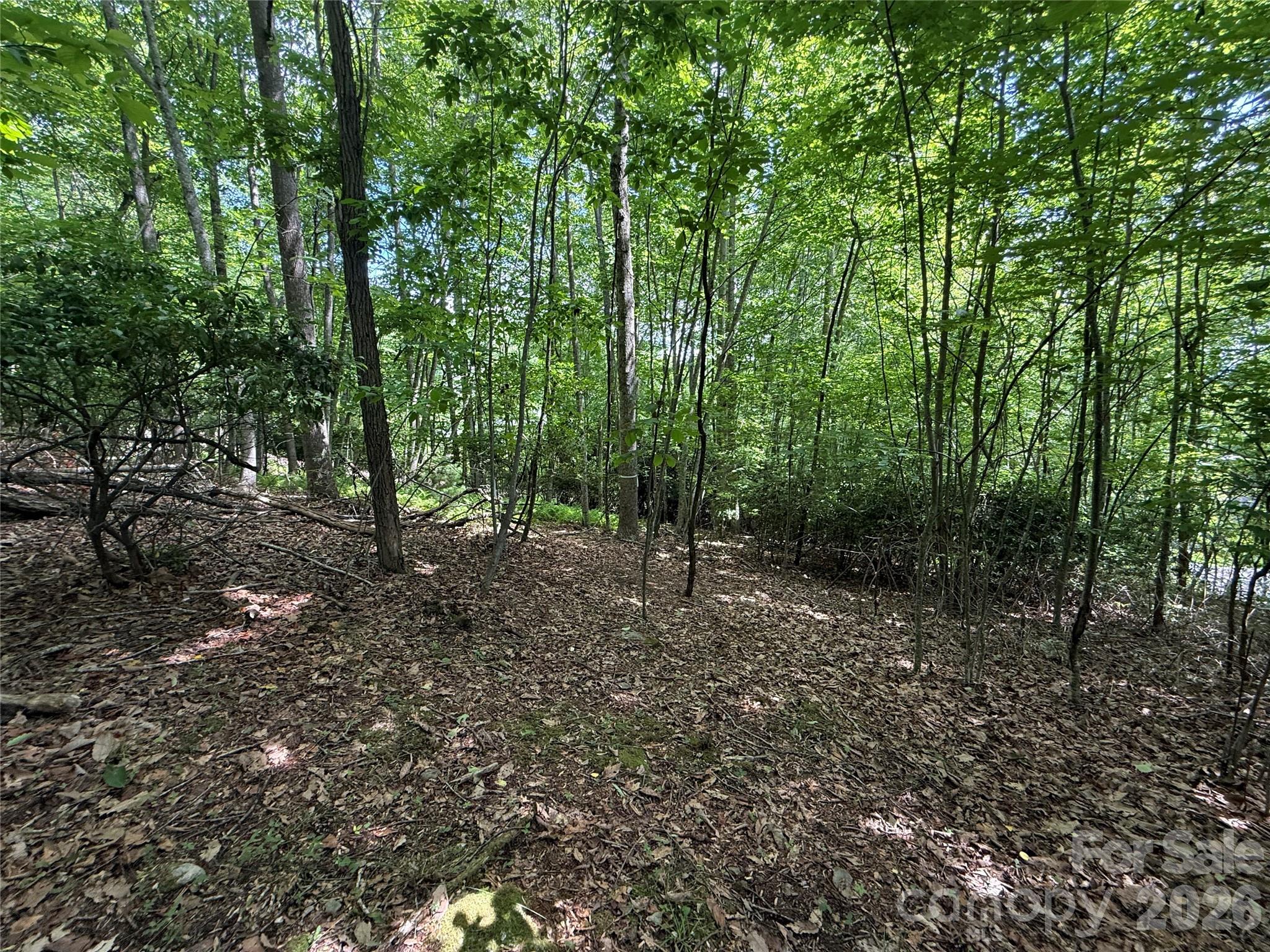Lot at 0000 Hardwood Summit Drive, Hendersonville, photo 19 of 29