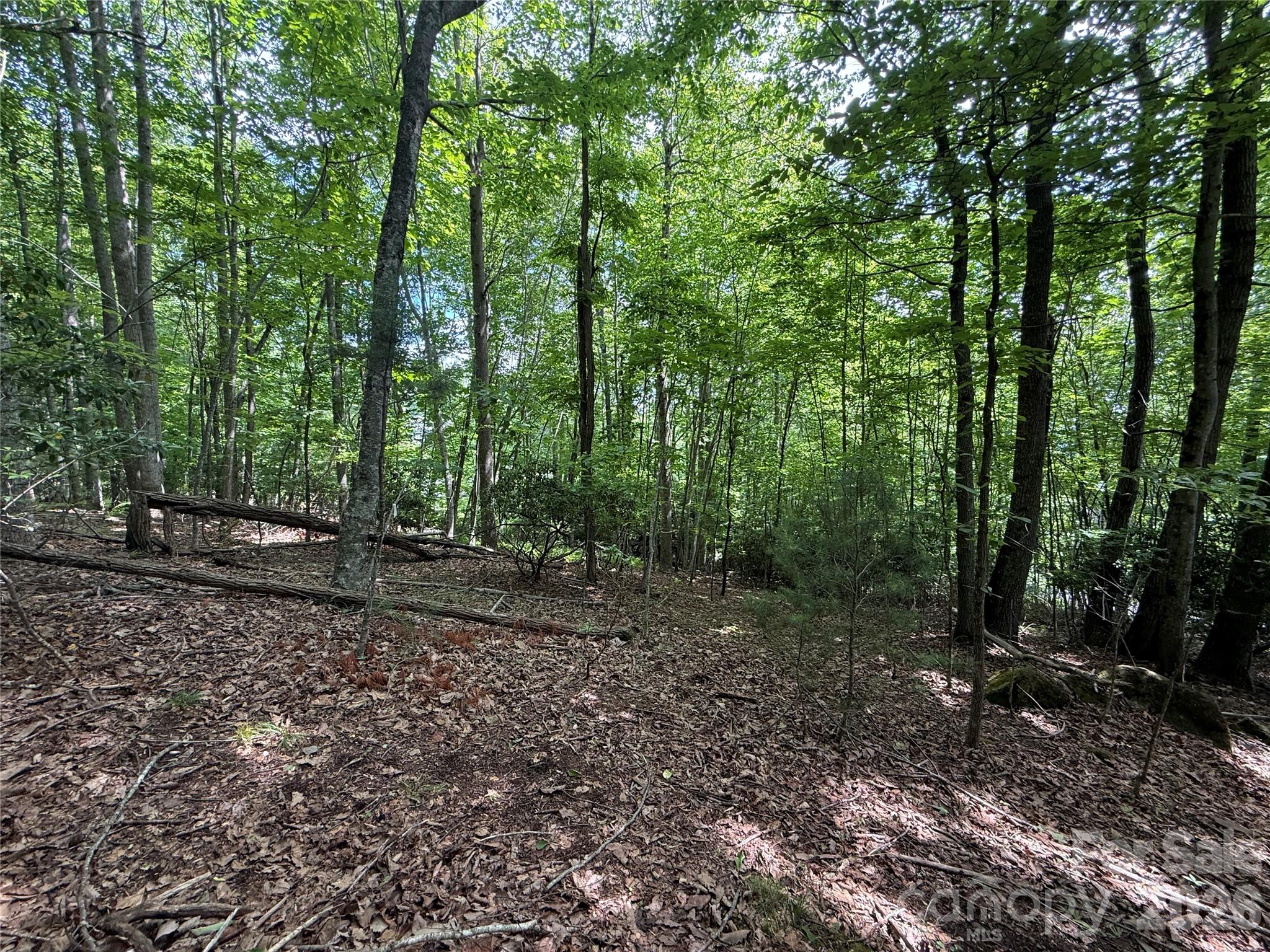 Lot at 0000 Hardwood Summit Drive, Hendersonville, photo 20 of 29