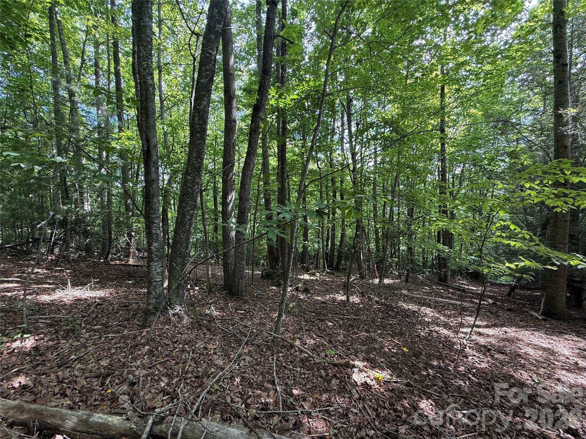 Lot at 0000 Hardwood Summit Drive, Hendersonville, photo 21 of 29