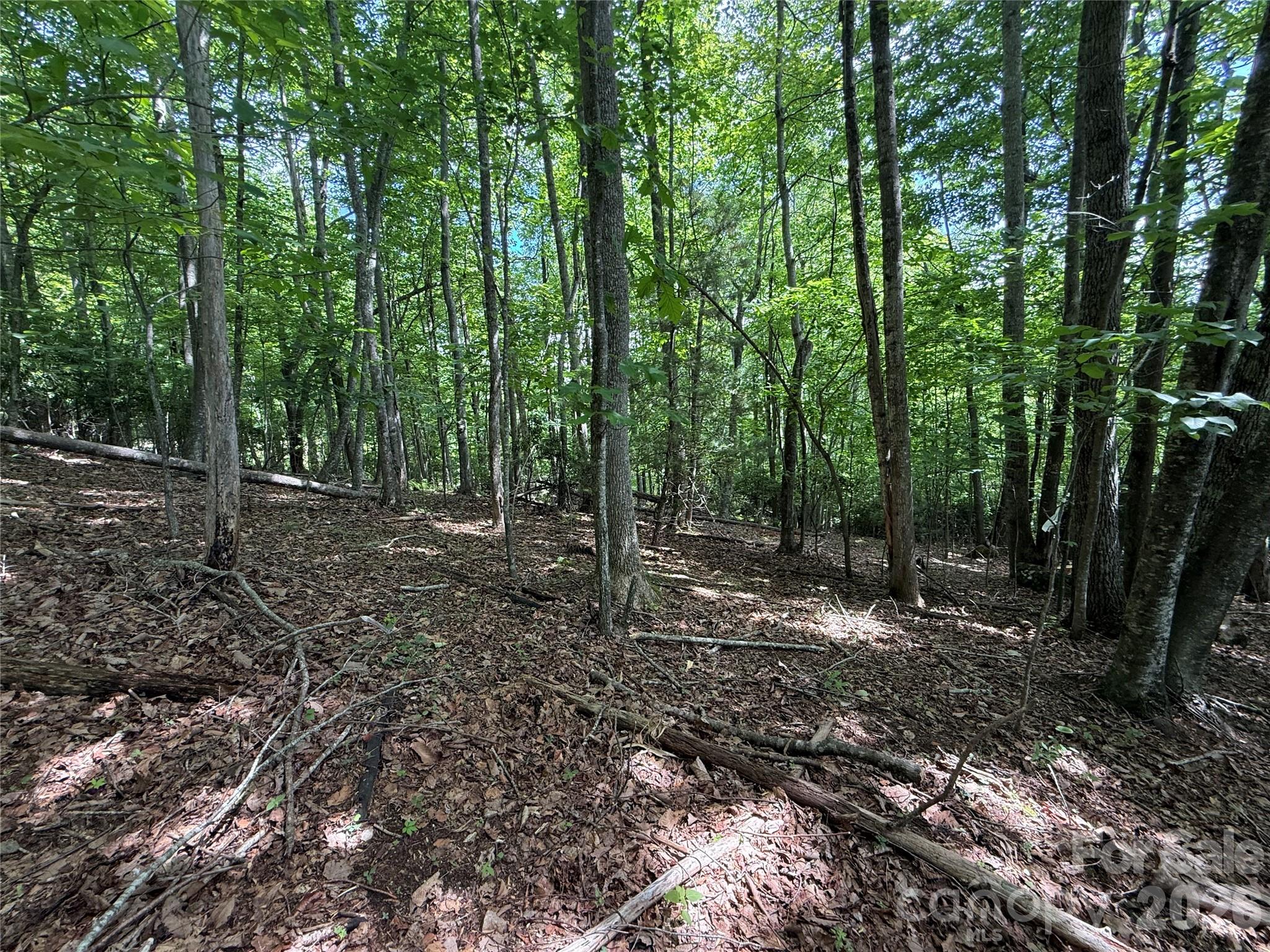 Lot at 0000 Hardwood Summit Drive, Hendersonville, photo 22 of 29