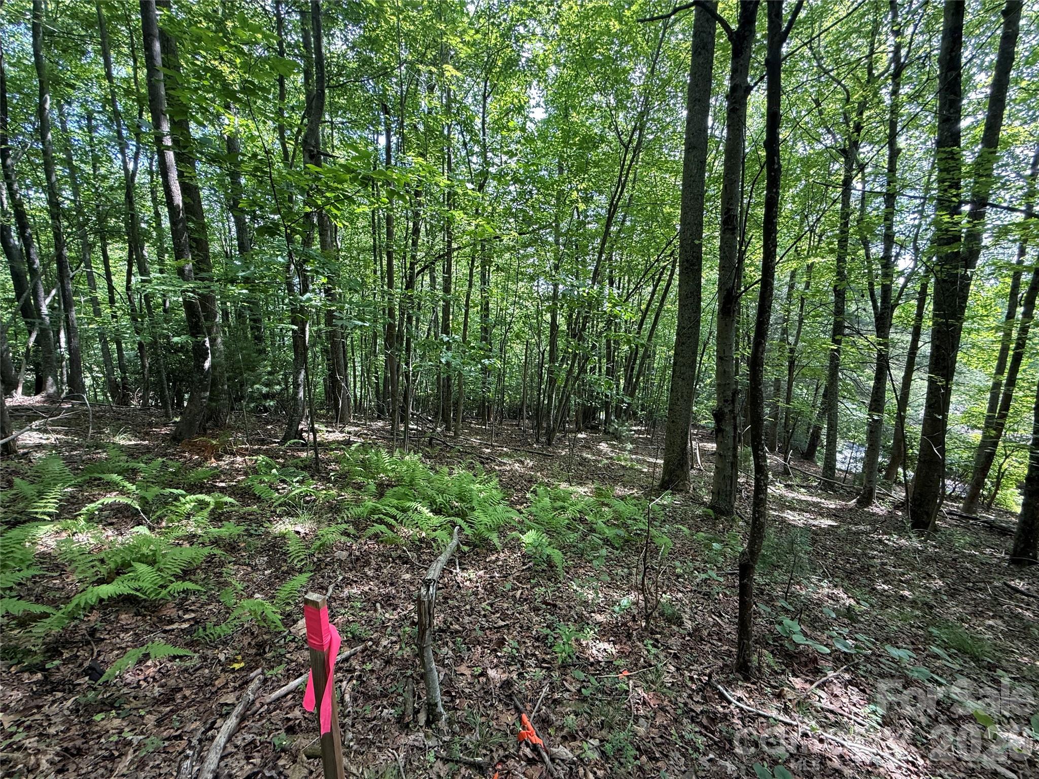 Lot at 0000 Hardwood Summit Drive, Hendersonville, photo 23 of 29
