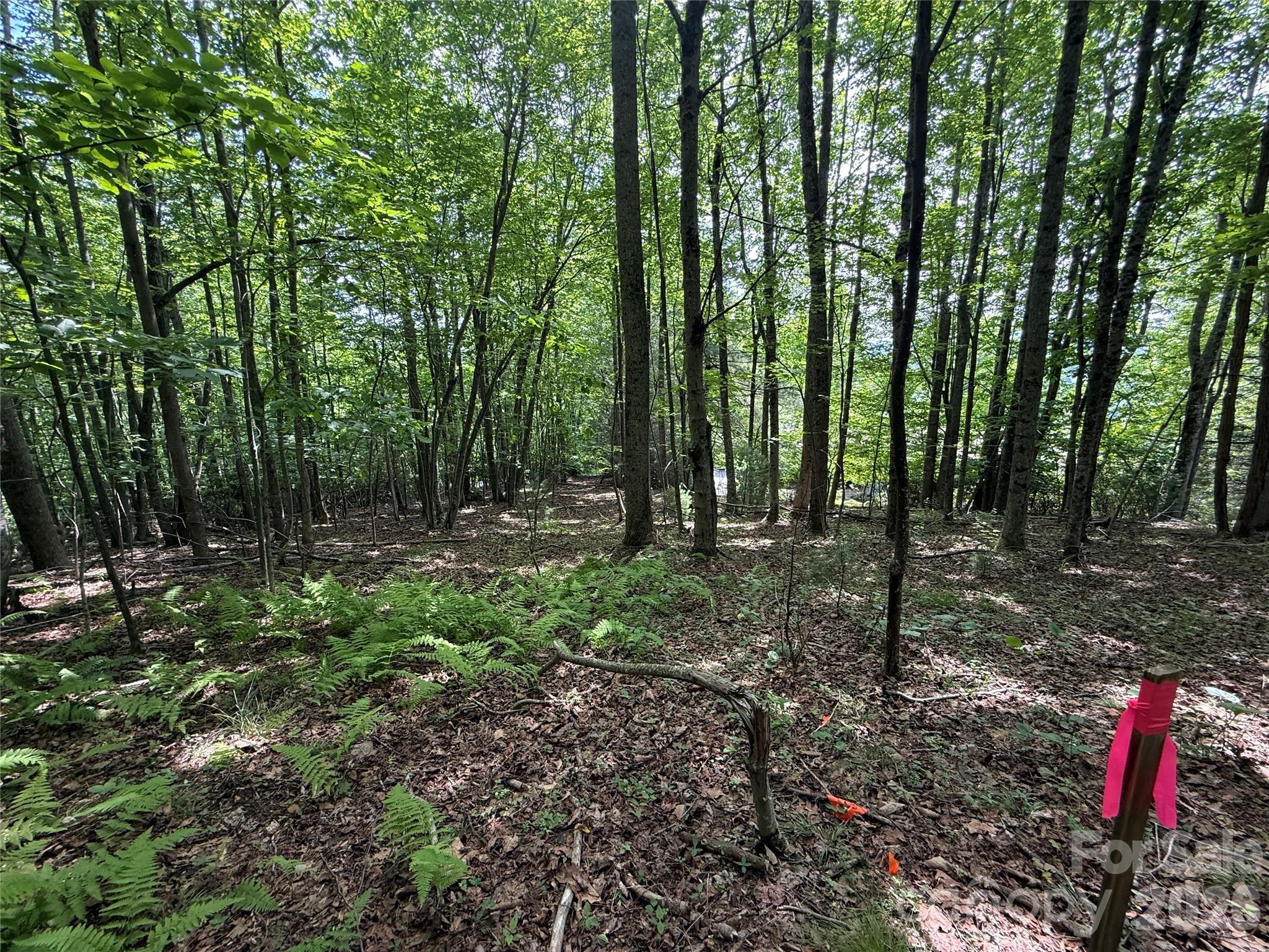 Lot at 0000 Hardwood Summit Drive, Hendersonville, photo 24 of 29