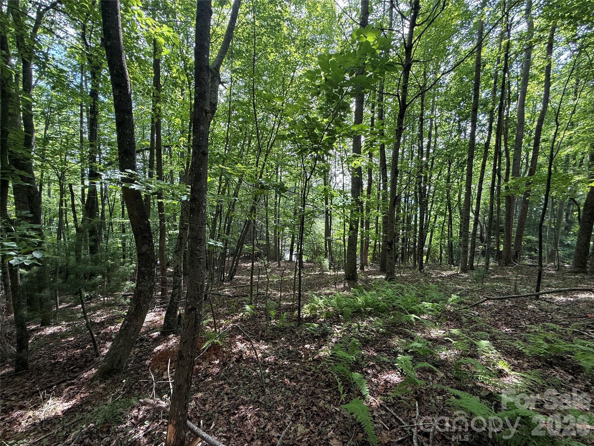 Lot at 0000 Hardwood Summit Drive, Hendersonville, photo 25 of 29