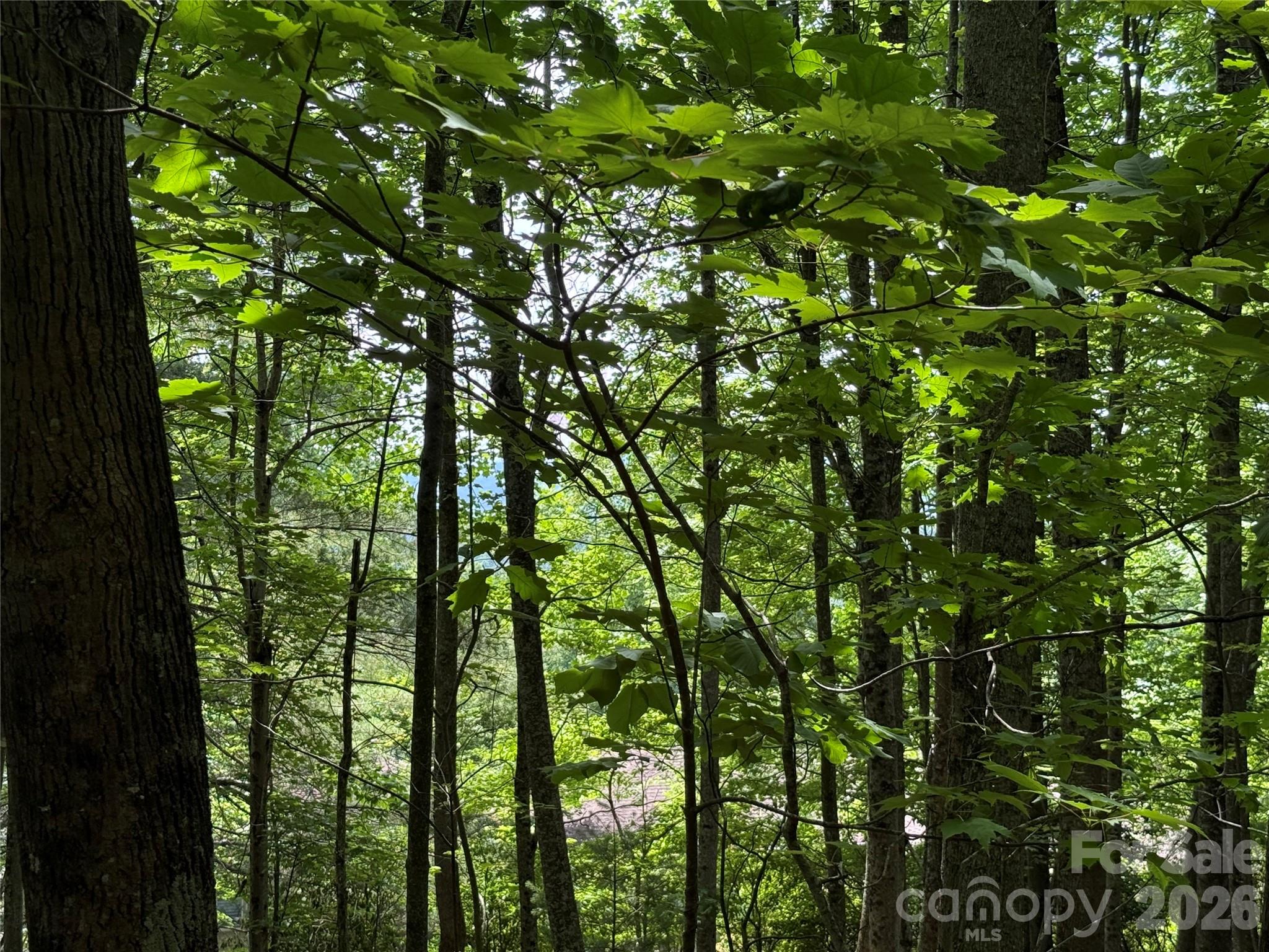 Lot at 0000 Hardwood Summit Drive, Hendersonville, photo 26 of 29