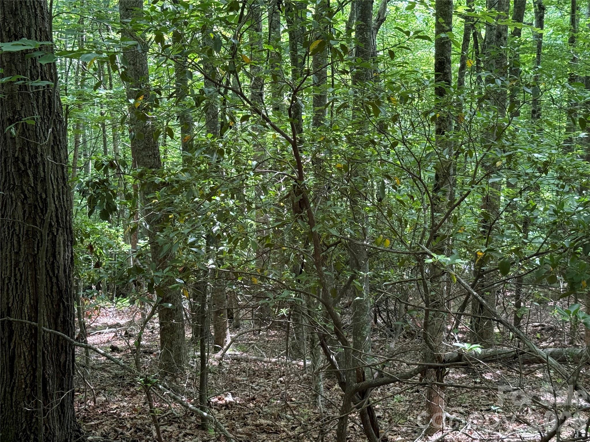 Lot at 0000 Hardwood Summit Drive, Hendersonville, photo 27 of 29