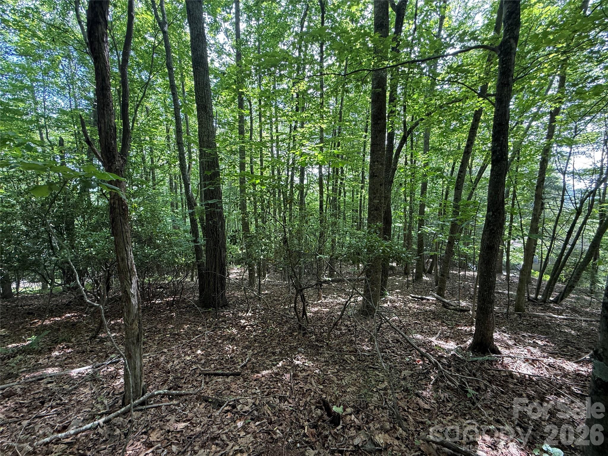 Lot at 0000 Hardwood Summit Drive, Hendersonville, photo 28 of 29