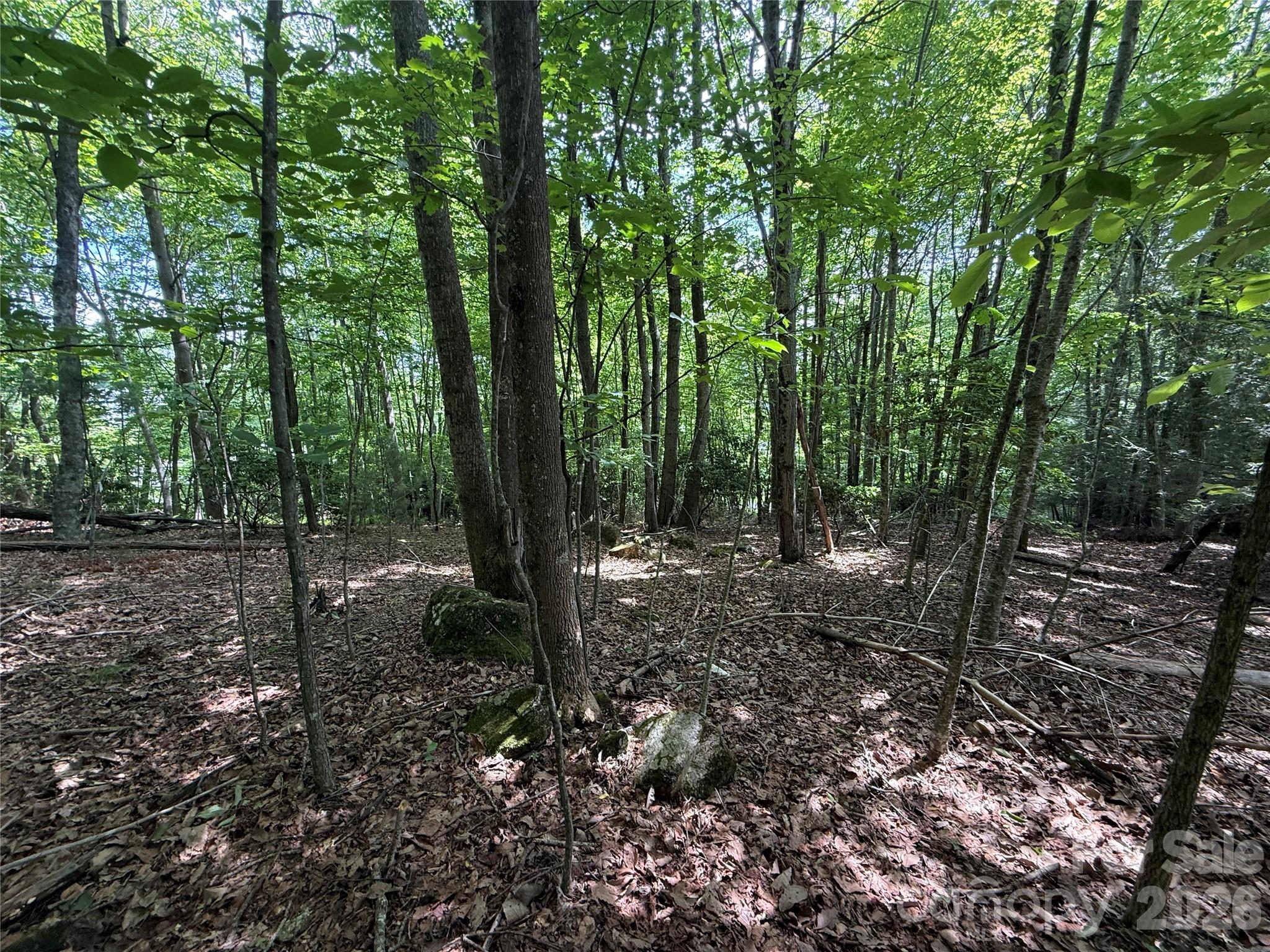 Lot at 0000 Hardwood Summit Drive, Hendersonville, photo 29 of 29