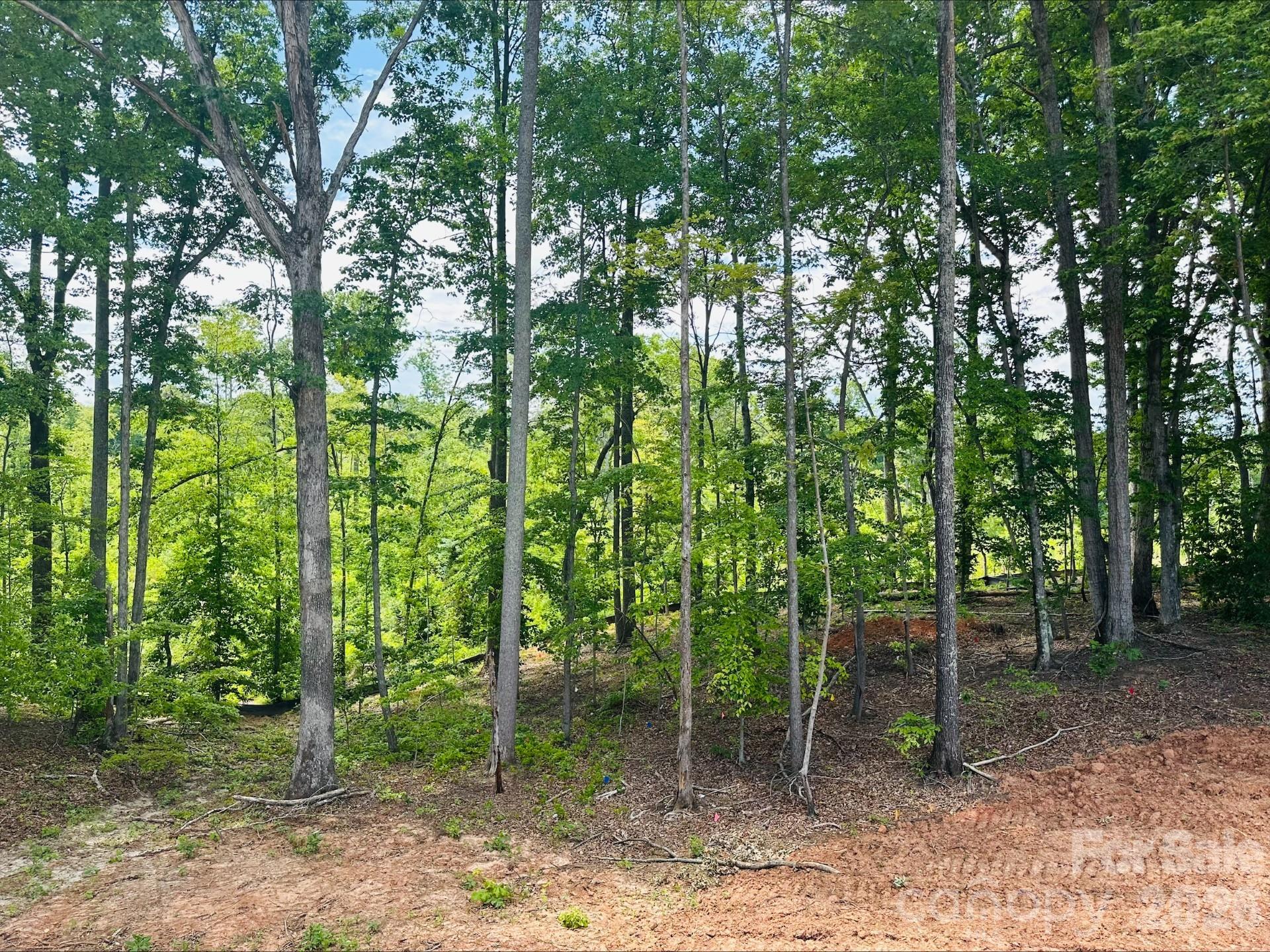 View from your owner's suite! - 165 Beth Haven Church Road, Denver