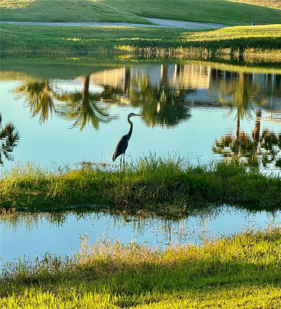 Lots of wildlife - 2336 ST GEORGE DR, DAVENPORT