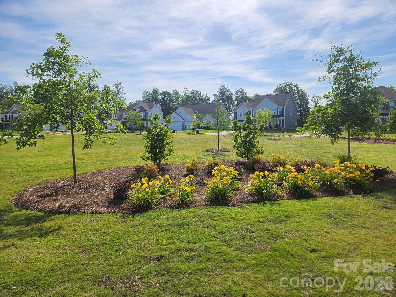 Single Family Residence at 3849 Horsham Street, Indian Land, photo 4 of 34