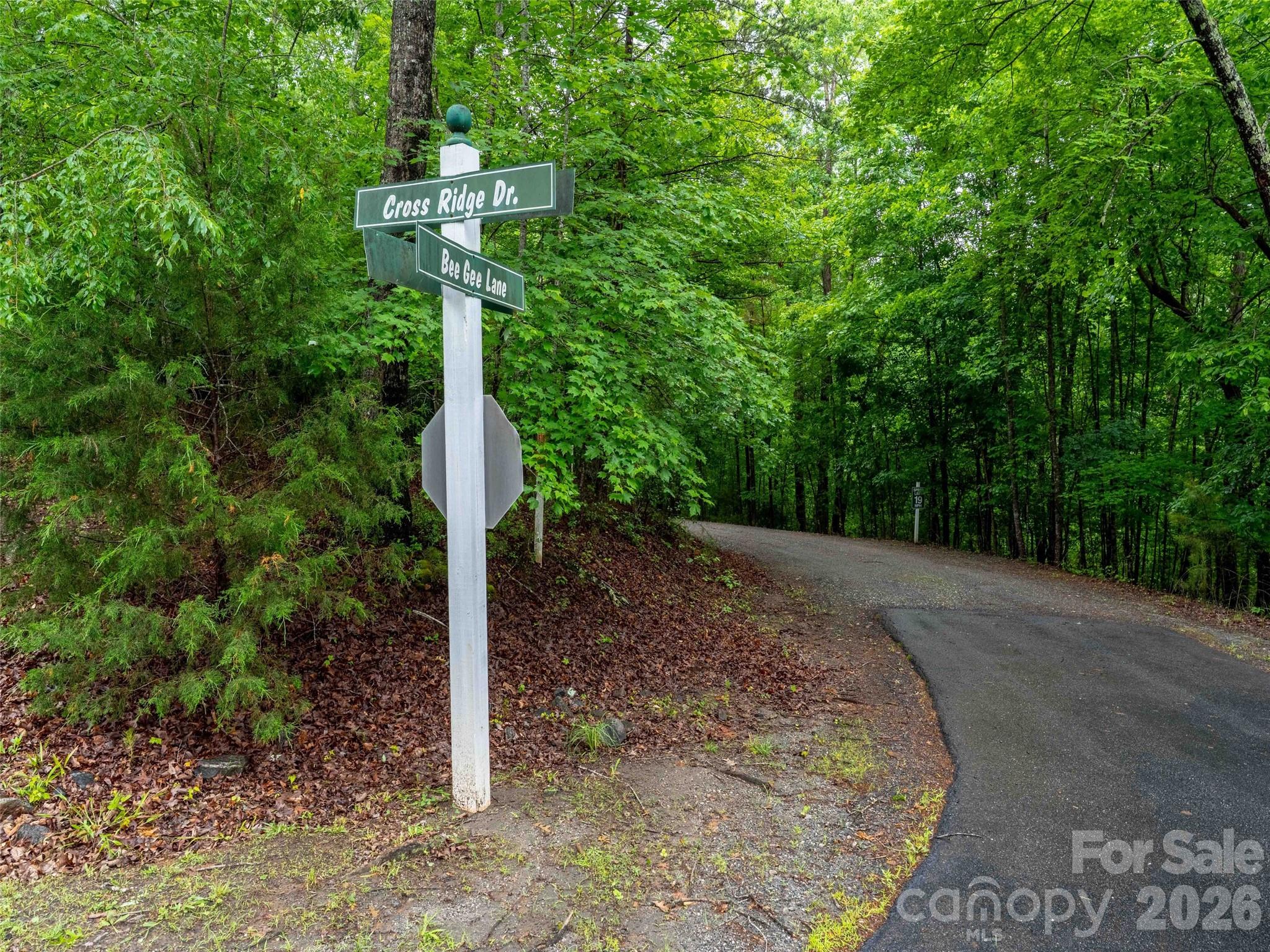 Lot at 00 Bee Gee Lane, Rutherfordton, photo 5 of 26