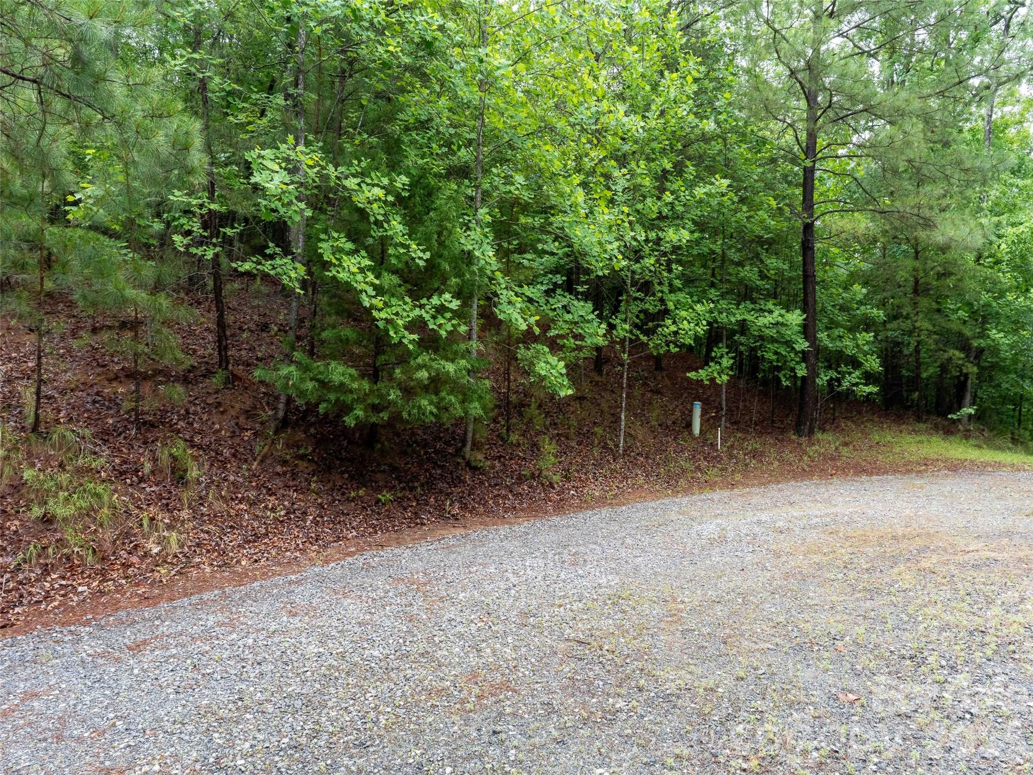 Lot at 00 Bee Gee Lane, Rutherfordton, photo 6 of 26