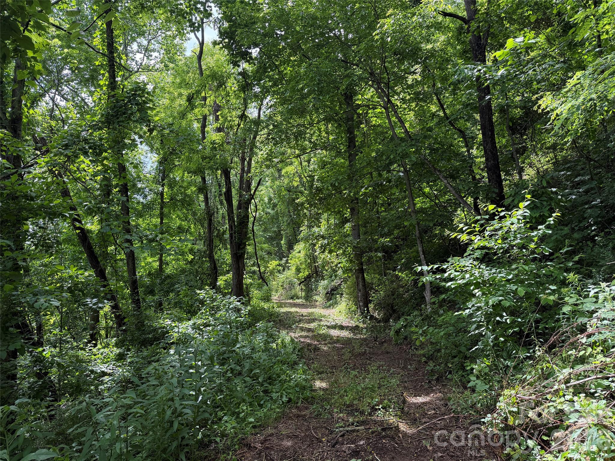 Lot at 00 Panorama Drive, Waynesville, photo 3 of 9