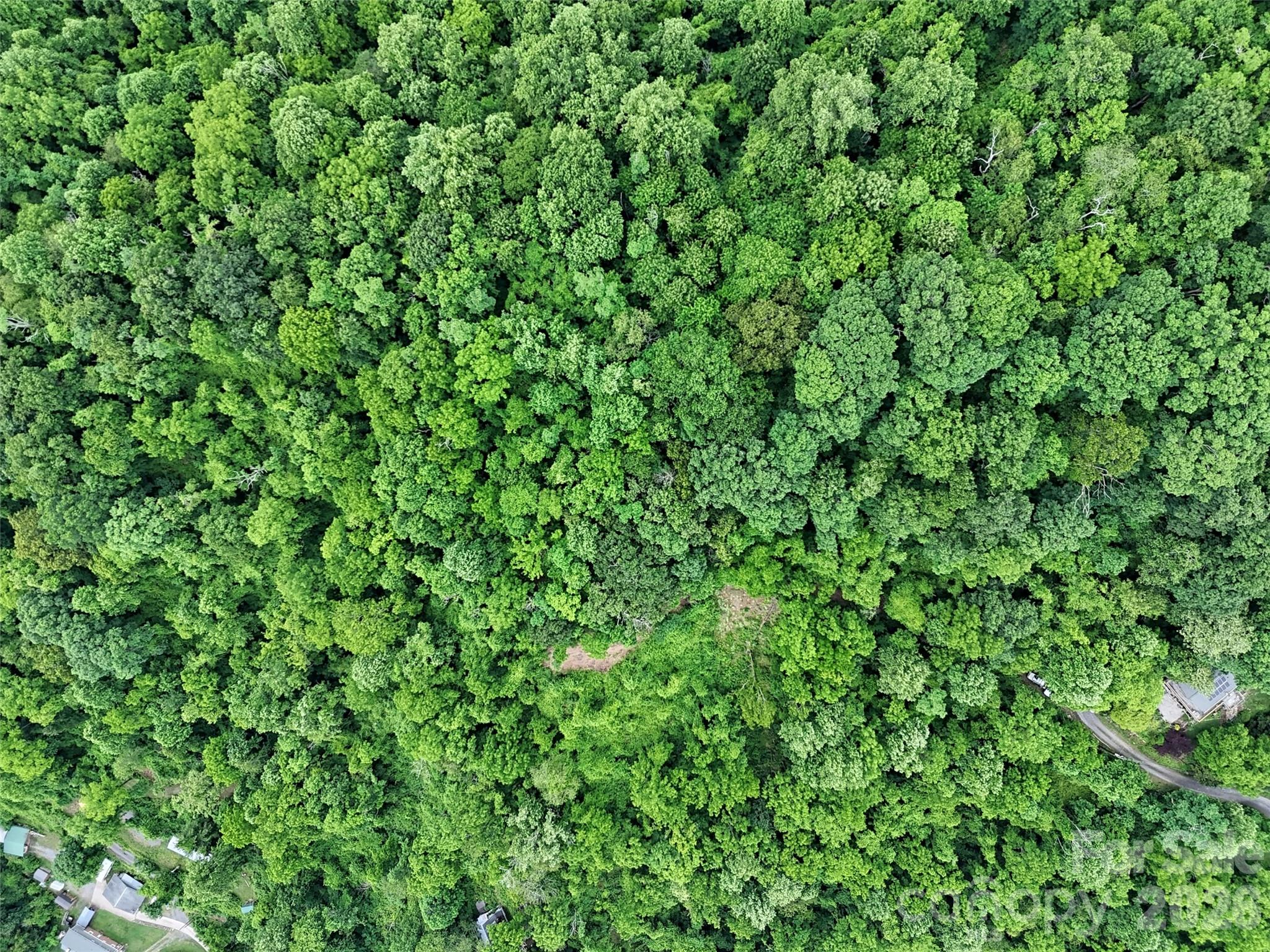 Lot at 00 Panorama Drive, Waynesville, photo 8 of 9