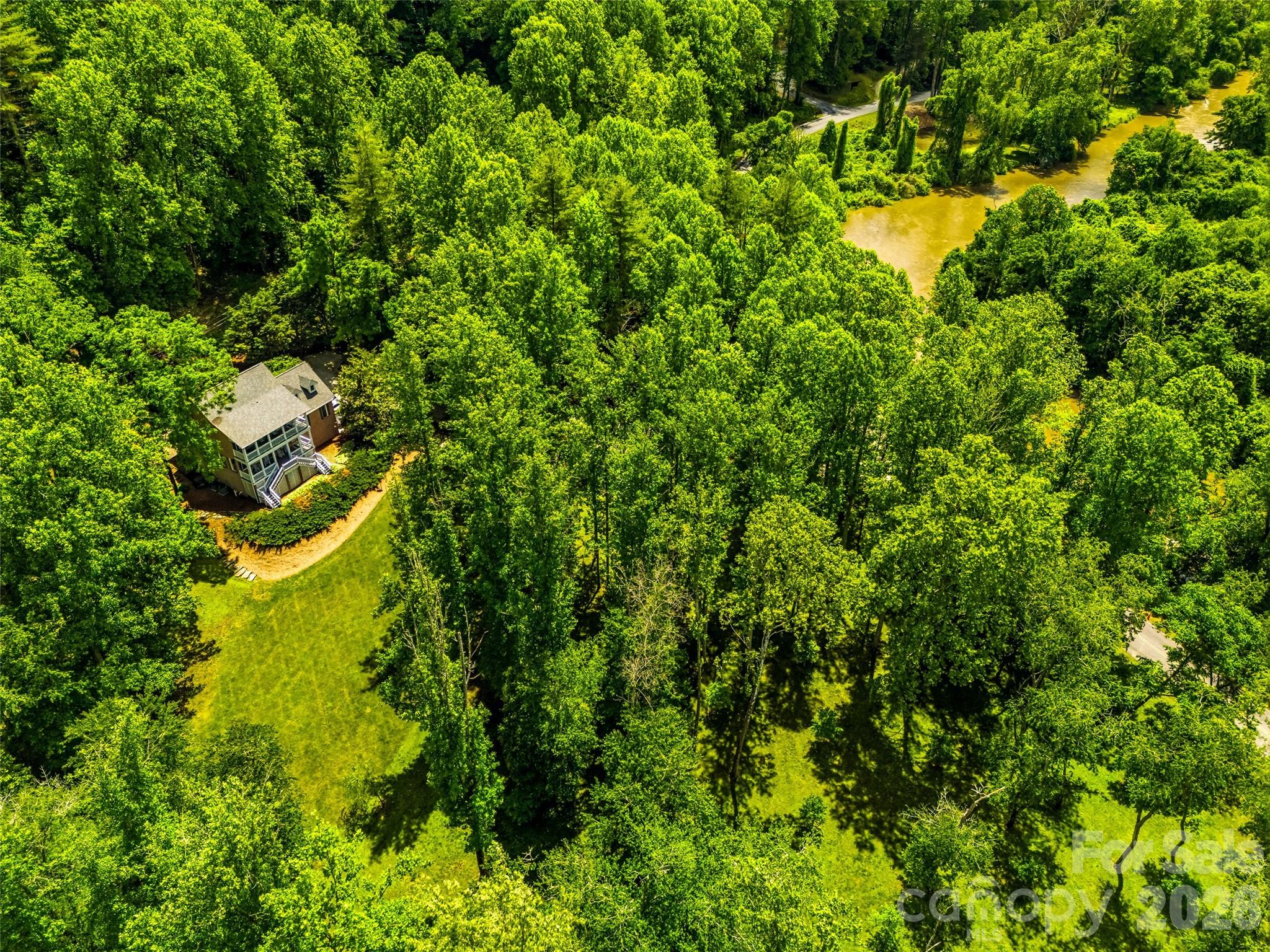 Private wooded setting - 243 Poplar Lane, Pisgah Forest