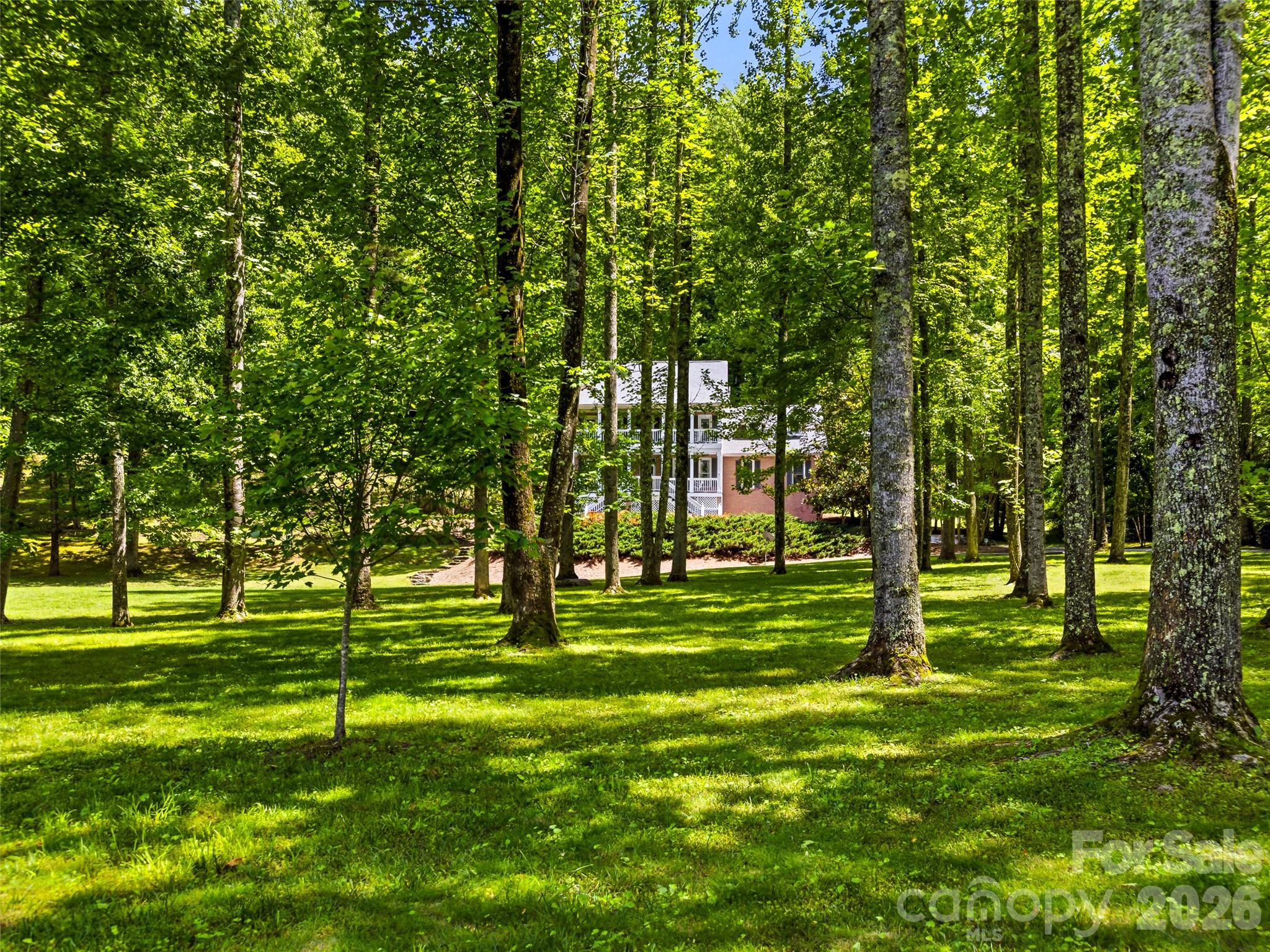beautiful wooded setting - 243 Poplar Lane, Pisgah Forest