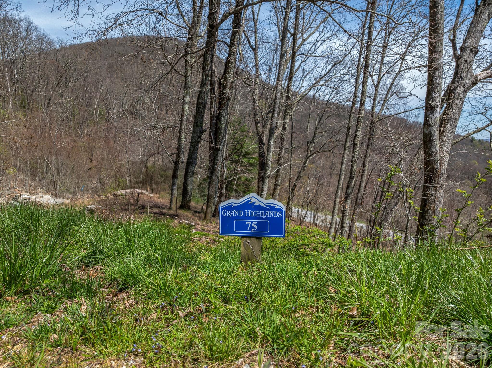 Lot at 370 Autumn Ridge Lane, Hendersonville, photo 2 of 27