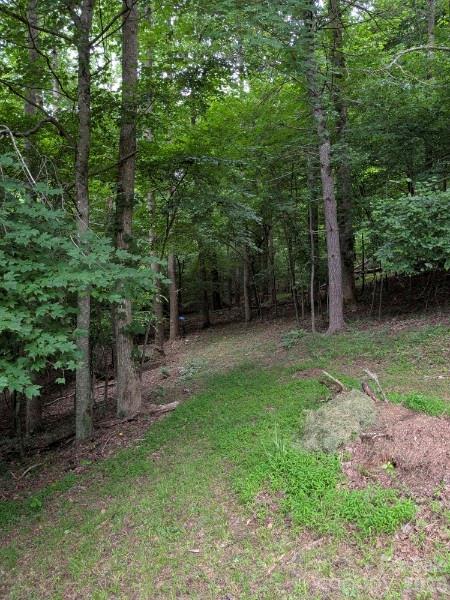 Gentle woods/deer habitat! - 59 Ck Cabin Drive, Hot Springs