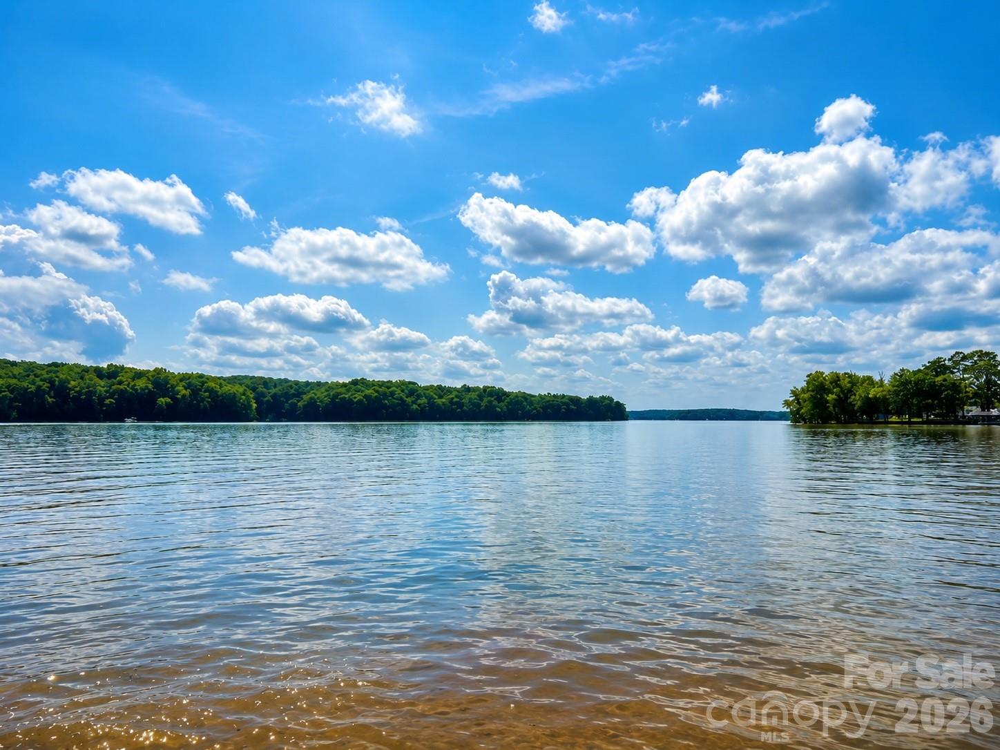 Views of Lake Wylie - 1400 Reflection Pointe Boulevard, Belmont