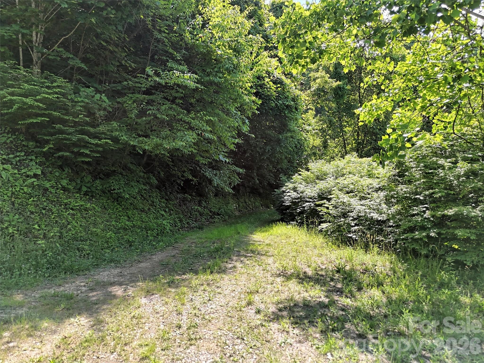 Lot at Lot 402 Malin Trail, Waynesville, photo 8 of 12