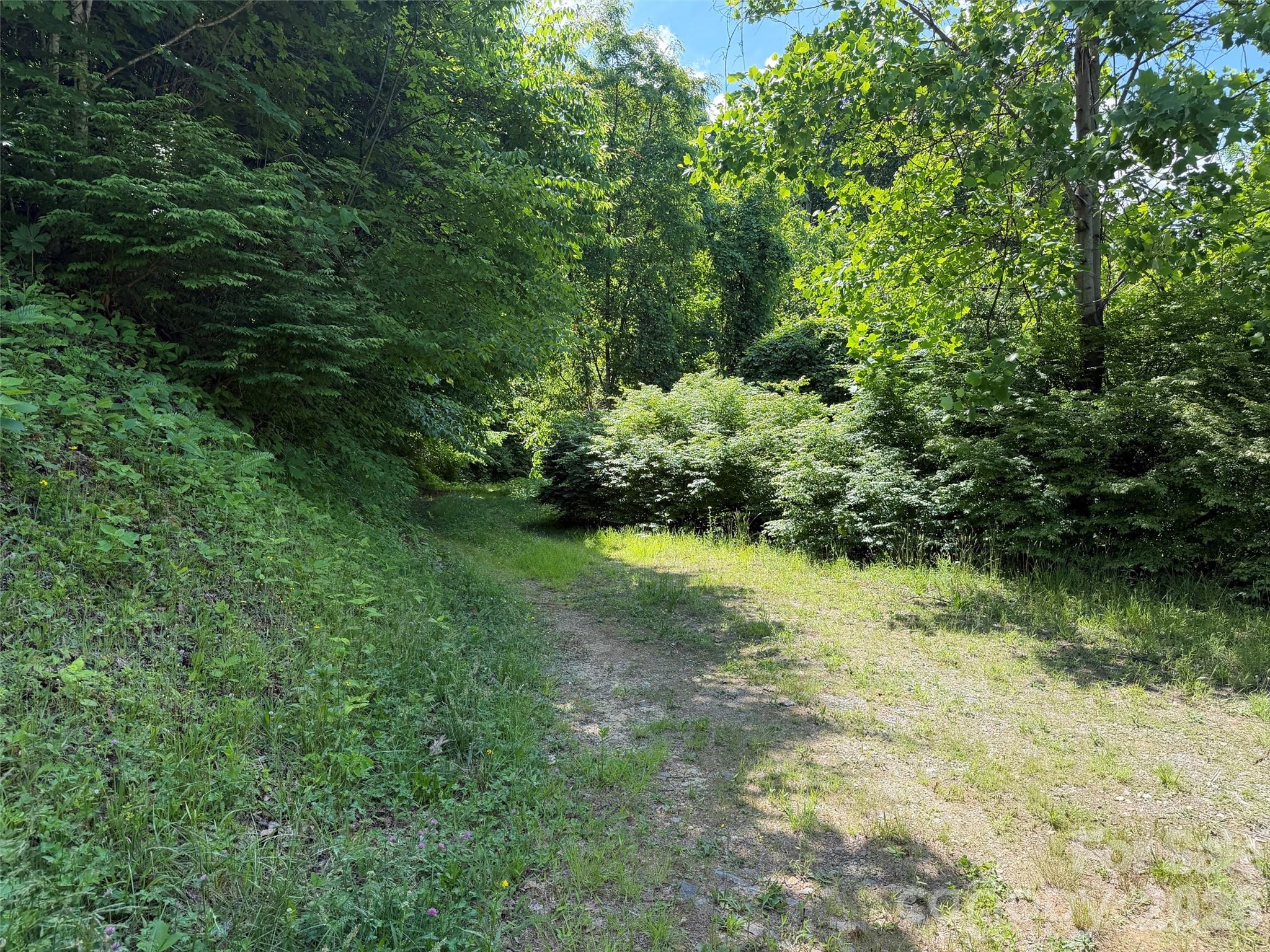 Lot at Lot 402 Malin Trail, Waynesville, photo 9 of 12