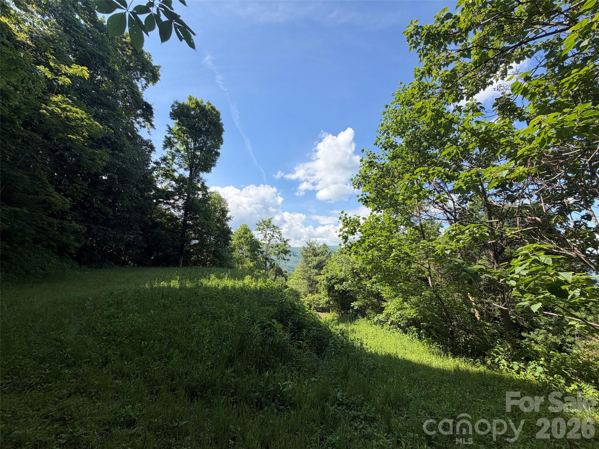 Lot at Lot 402 Malin Trail, Waynesville, photo 11 of 12