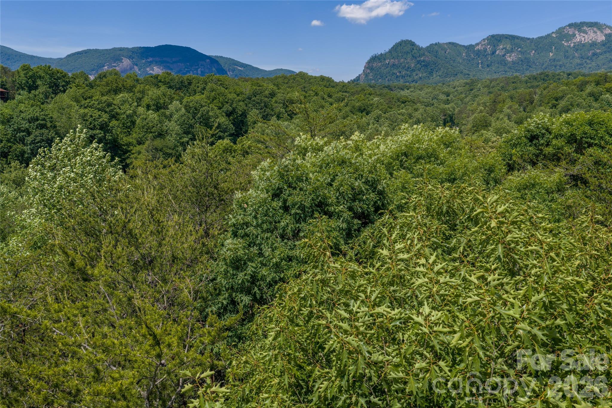 Aerial View - 0000 View Trail, Lake Lure