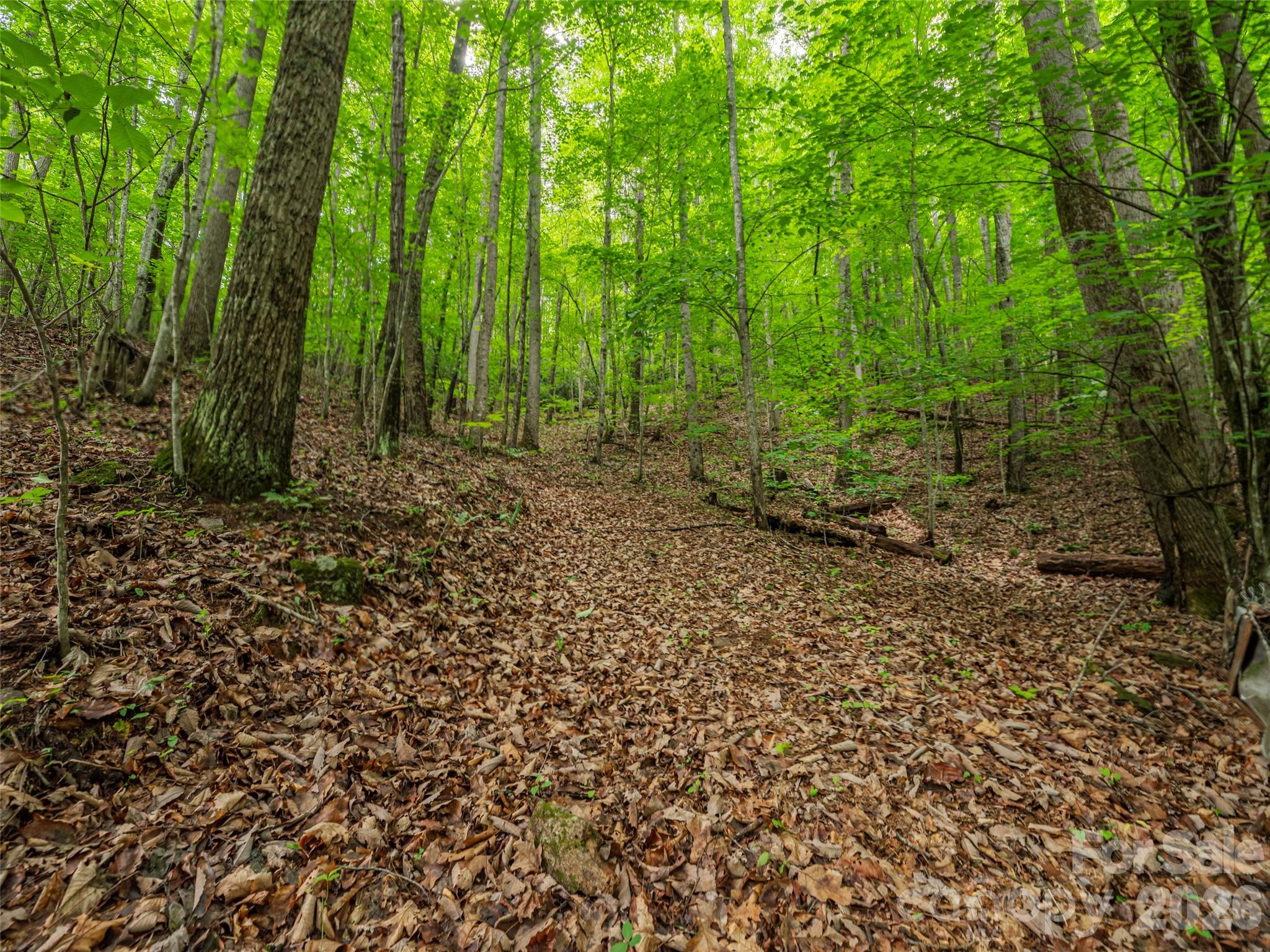 Acreage at 68 Long Ridge Road, Candler, photo 4 of 13