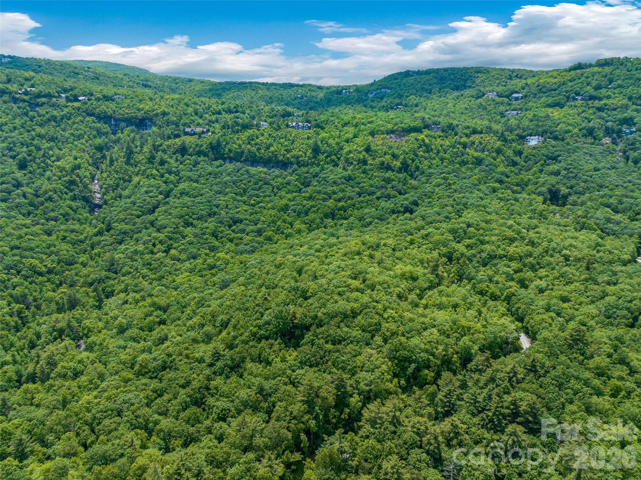 Lot at 2 Cardinal Drive W, Lake Toxaway, photo 4 of 25
