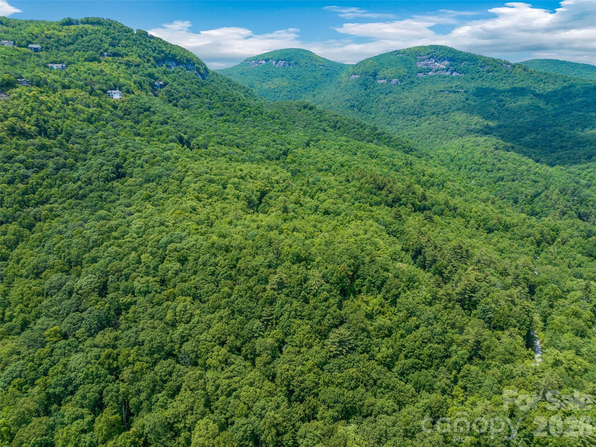 Lot at 2 Cardinal Drive W, Lake Toxaway, photo 5 of 25