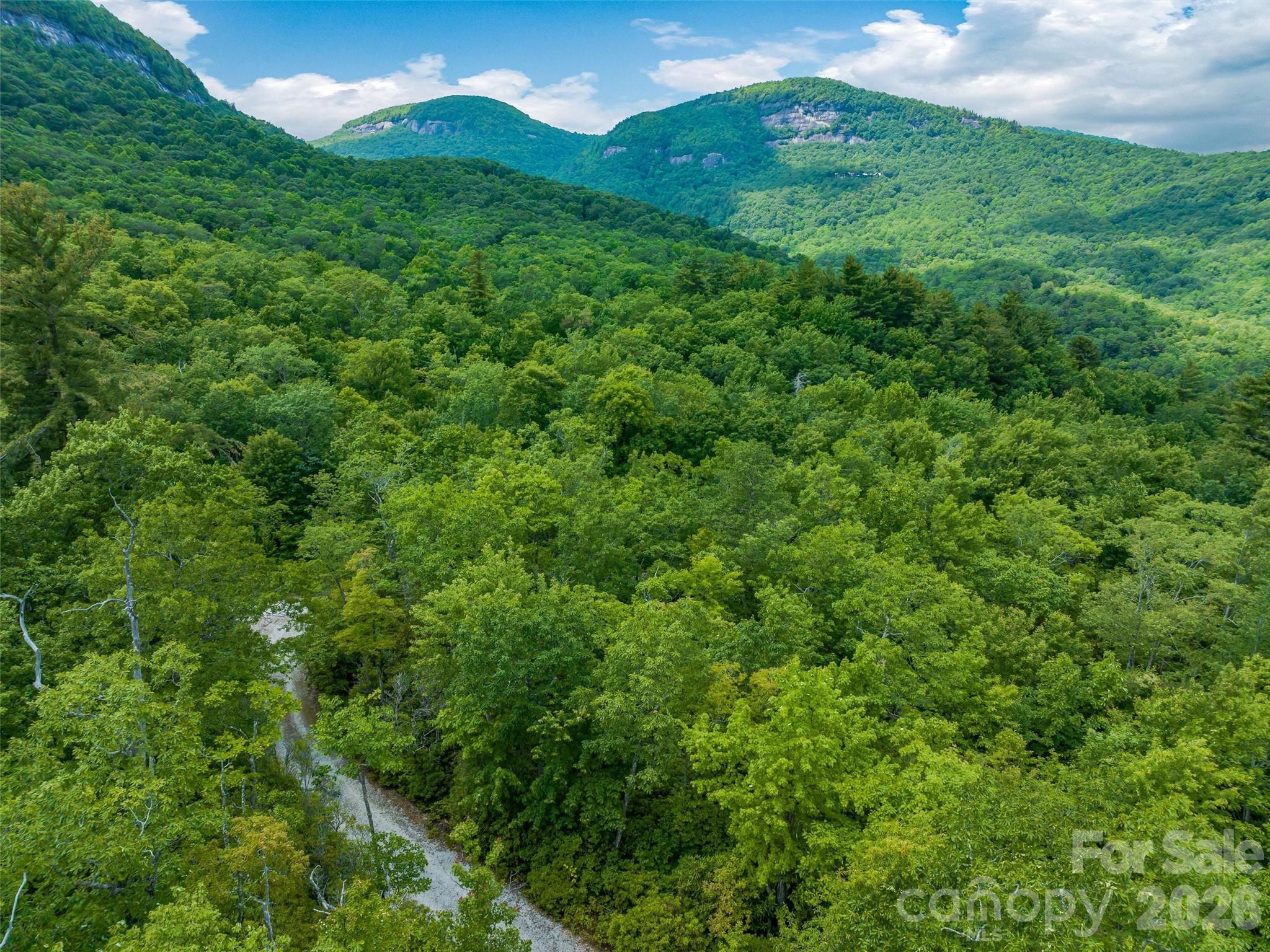 Lot at 2 Cardinal Drive W, Lake Toxaway, photo 11 of 25