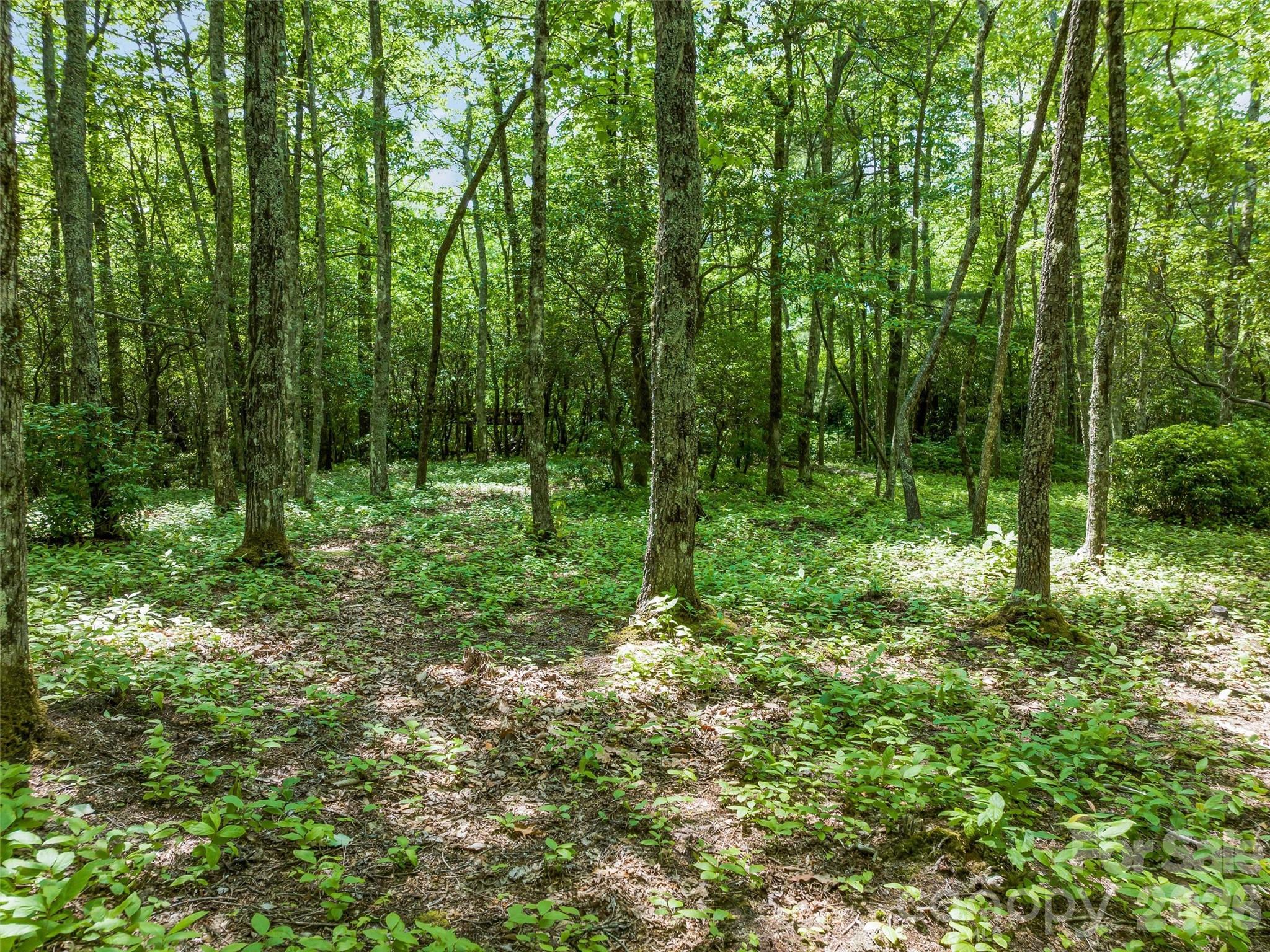 building lot - 2 Cardinal Drive W, Lake Toxaway