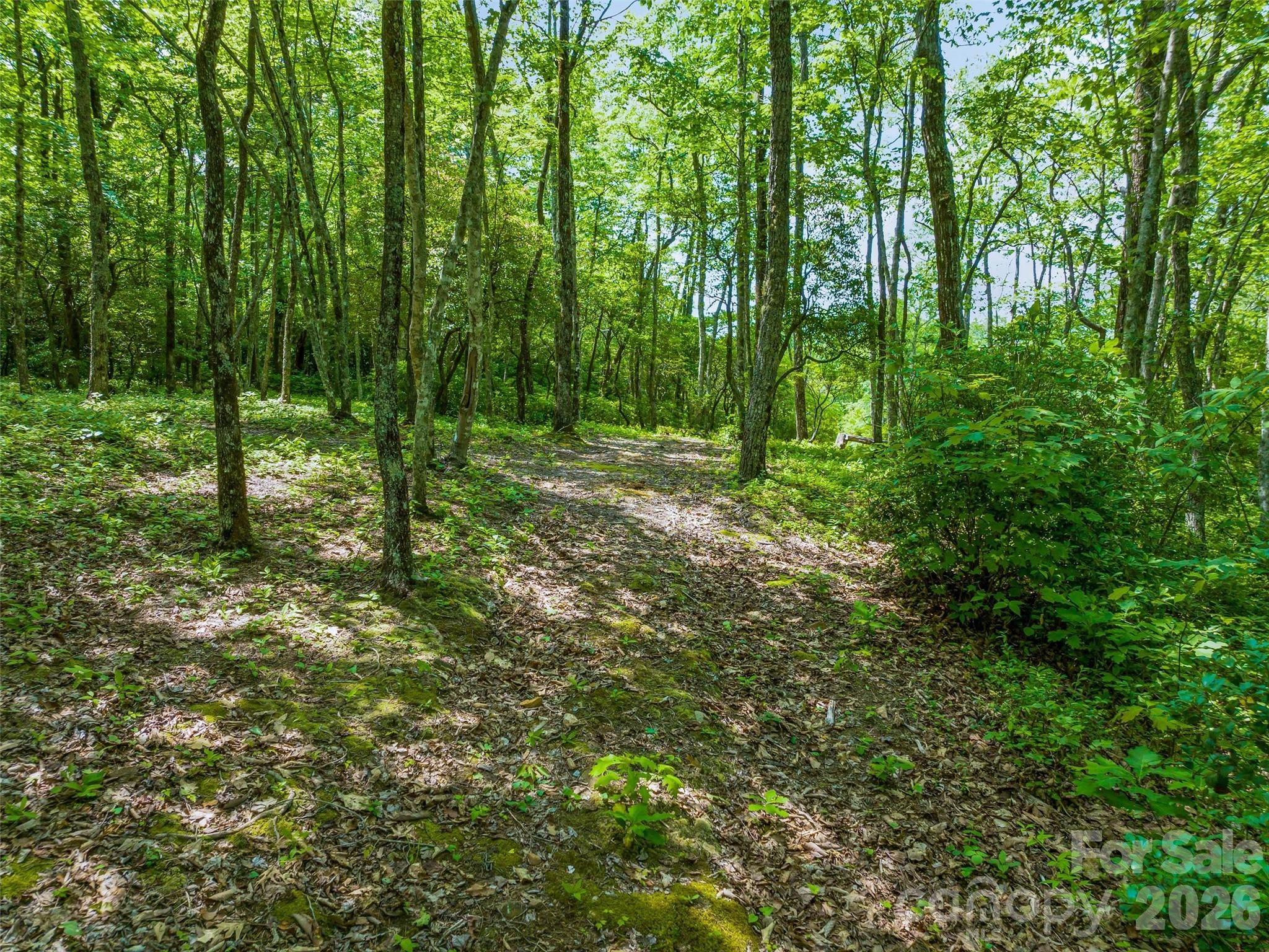 build site - 2 Cardinal Drive W, Lake Toxaway