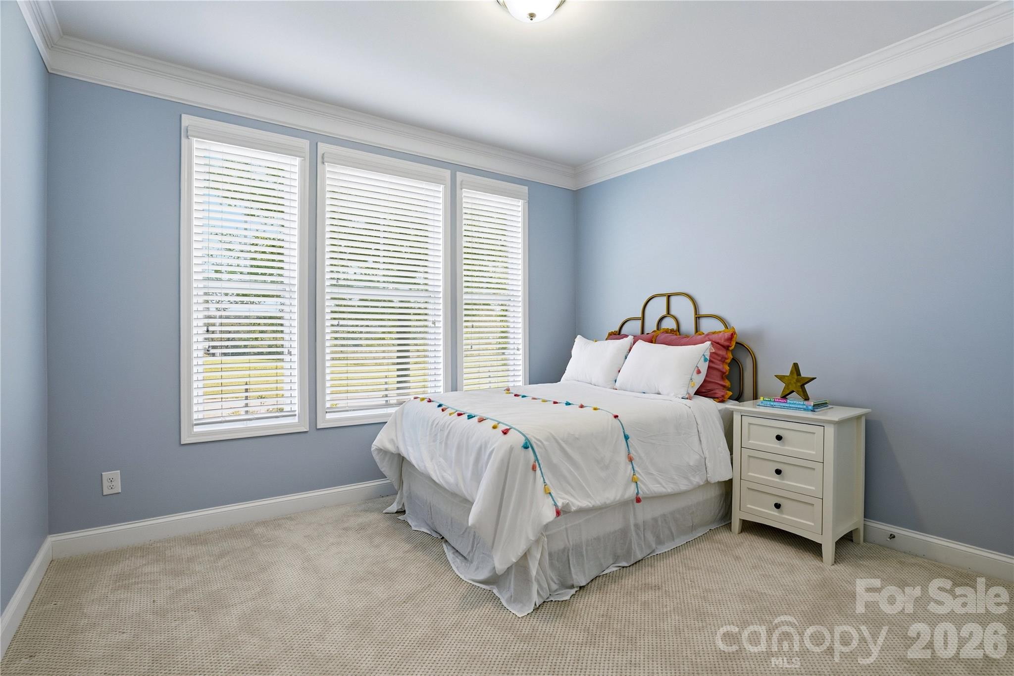 Single Family Residence at 2274 Seagull Drive, Denver, photo 24 of 37
