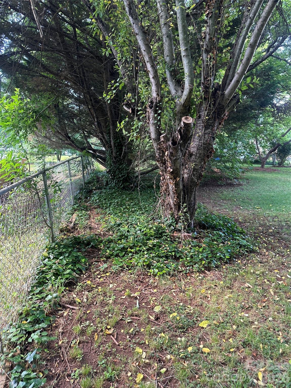 more back yard and fence. - 1407 N College Avenue, Newton